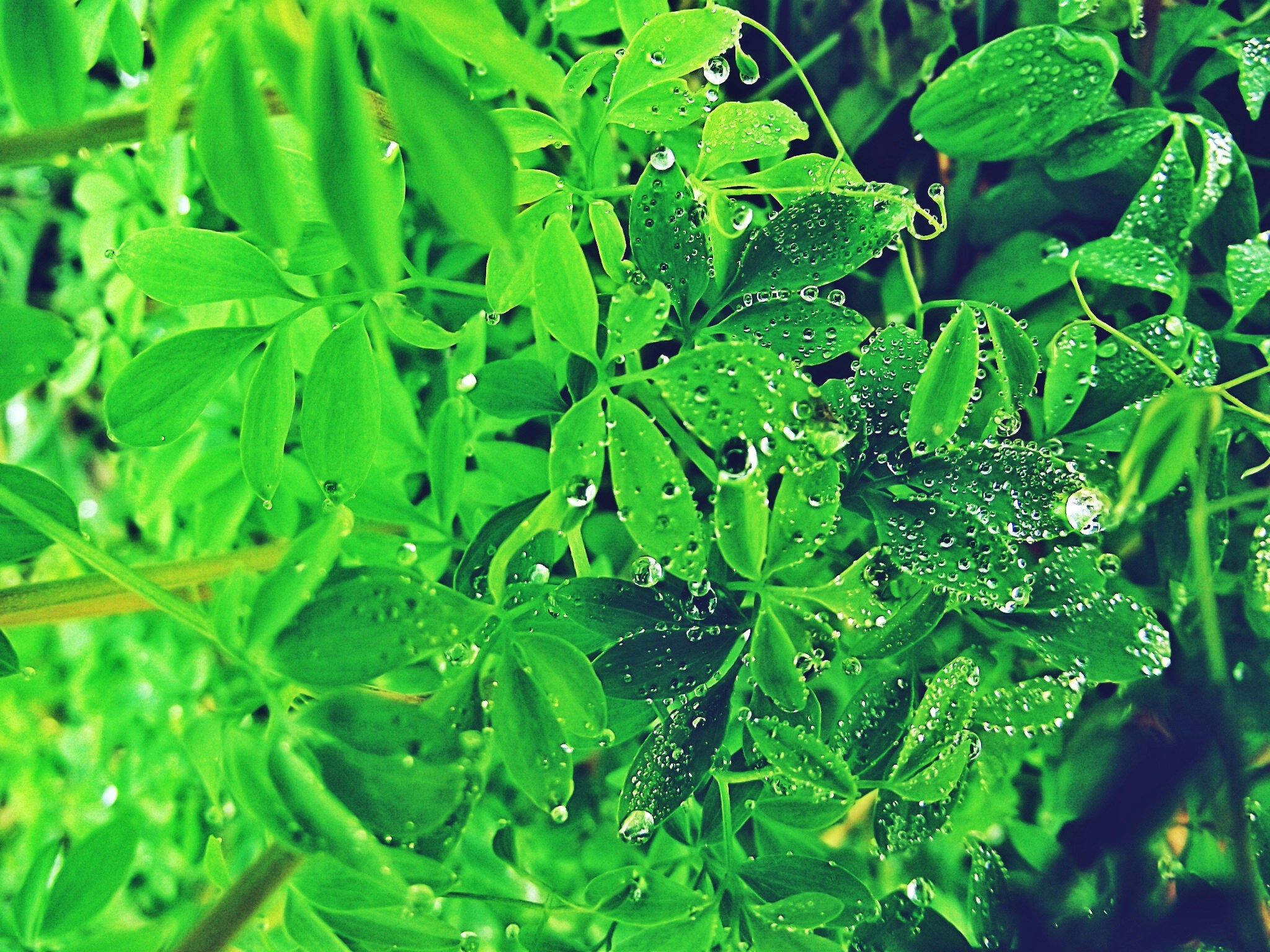 Free Unsplash photo from Helder Silva