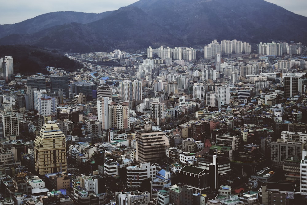 aerial photography of high-rise buildings