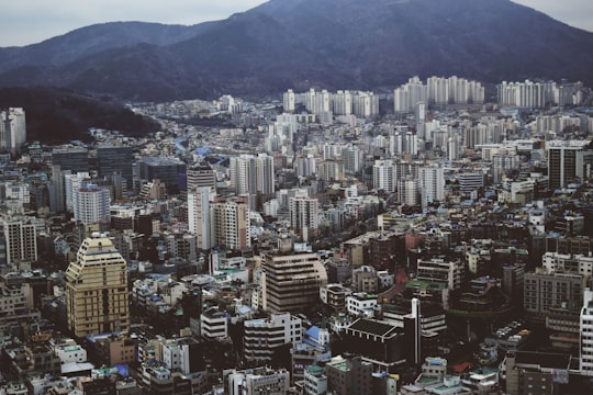 aerial photography of high-rise buildings in Busan Tower South Korea