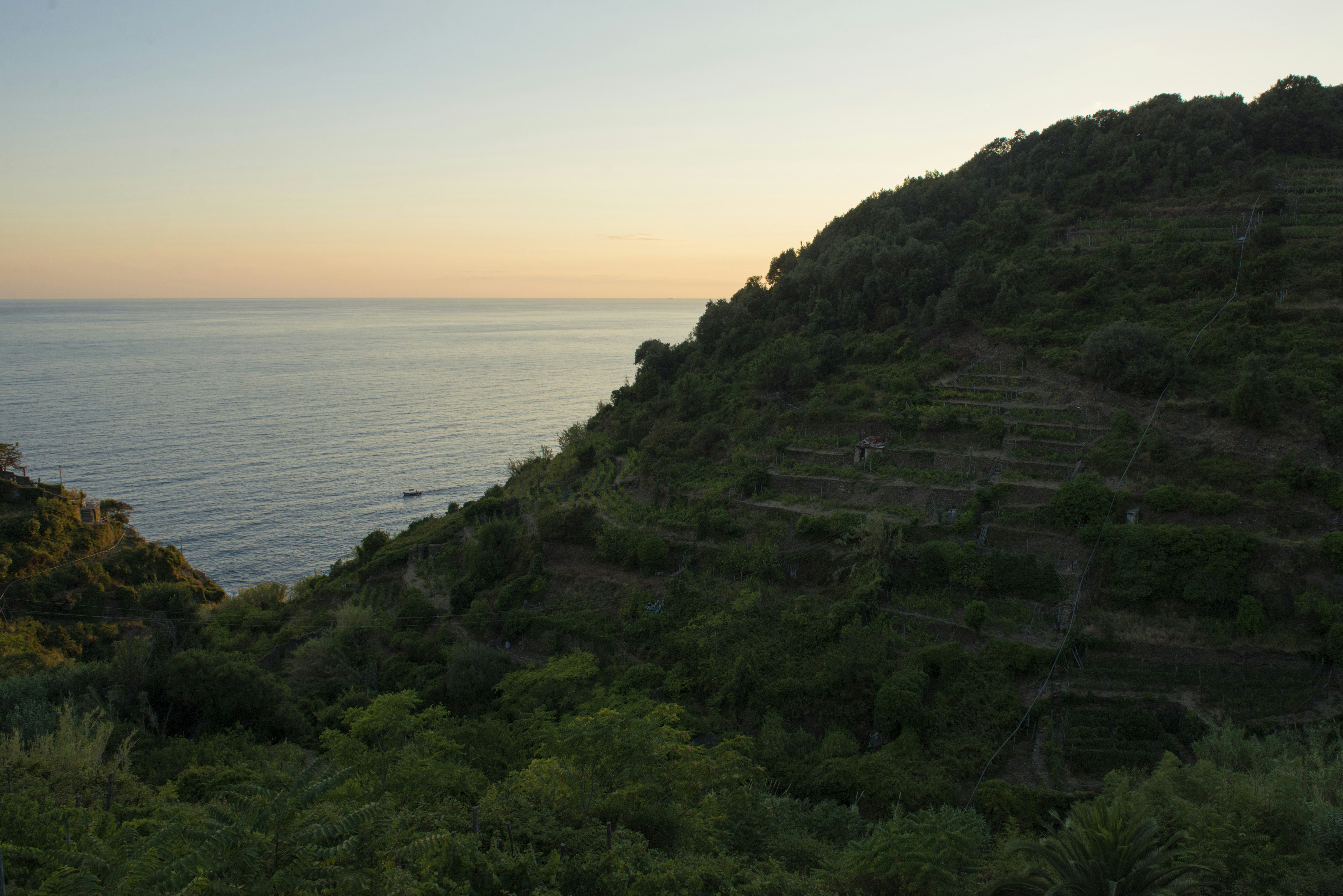 Free Unsplash photo from Sylwia Pietruszka