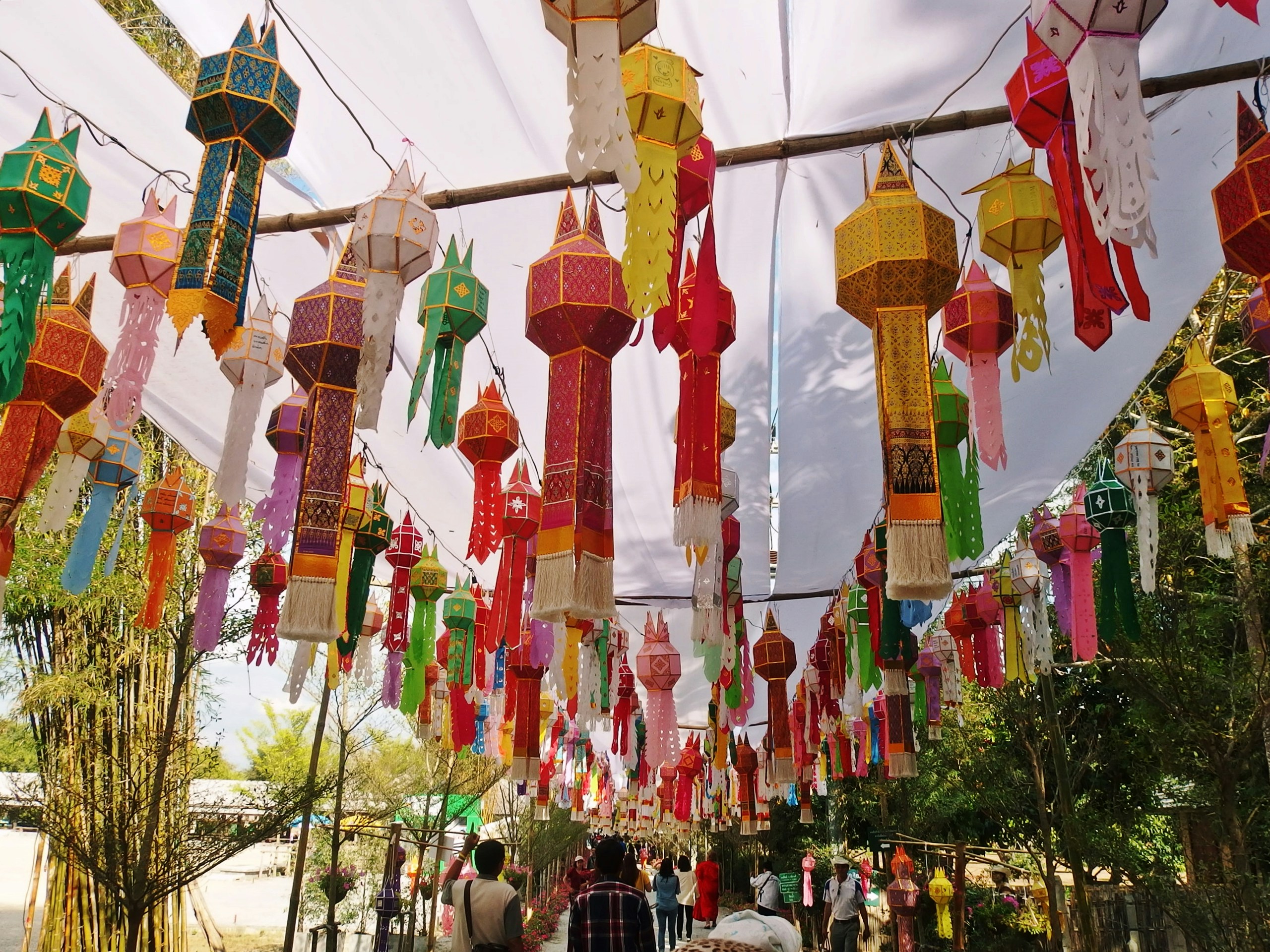 Free Unsplash photo from Waranya Mooldee