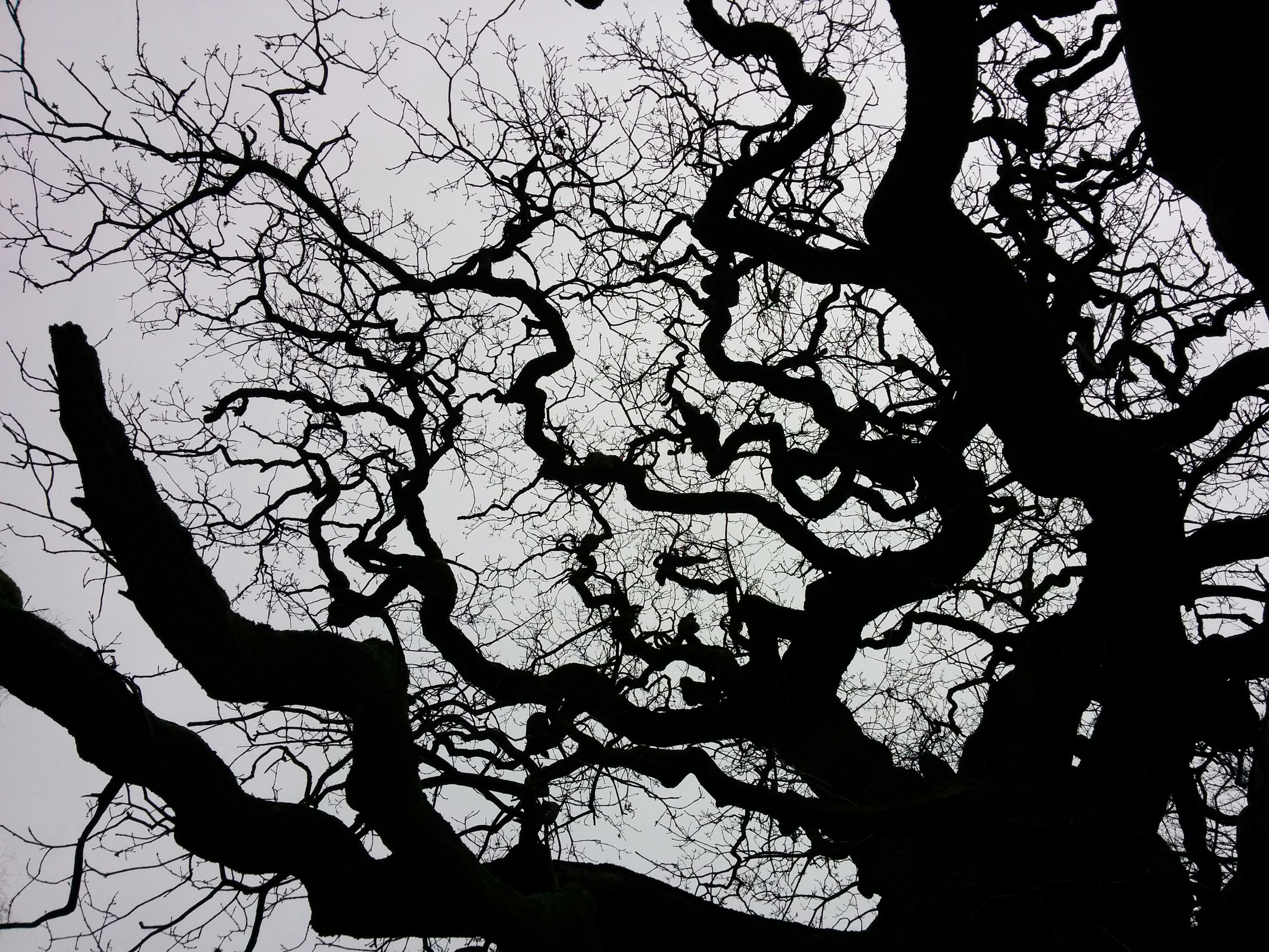 Free Unsplash photo from Aske Hippe Brun