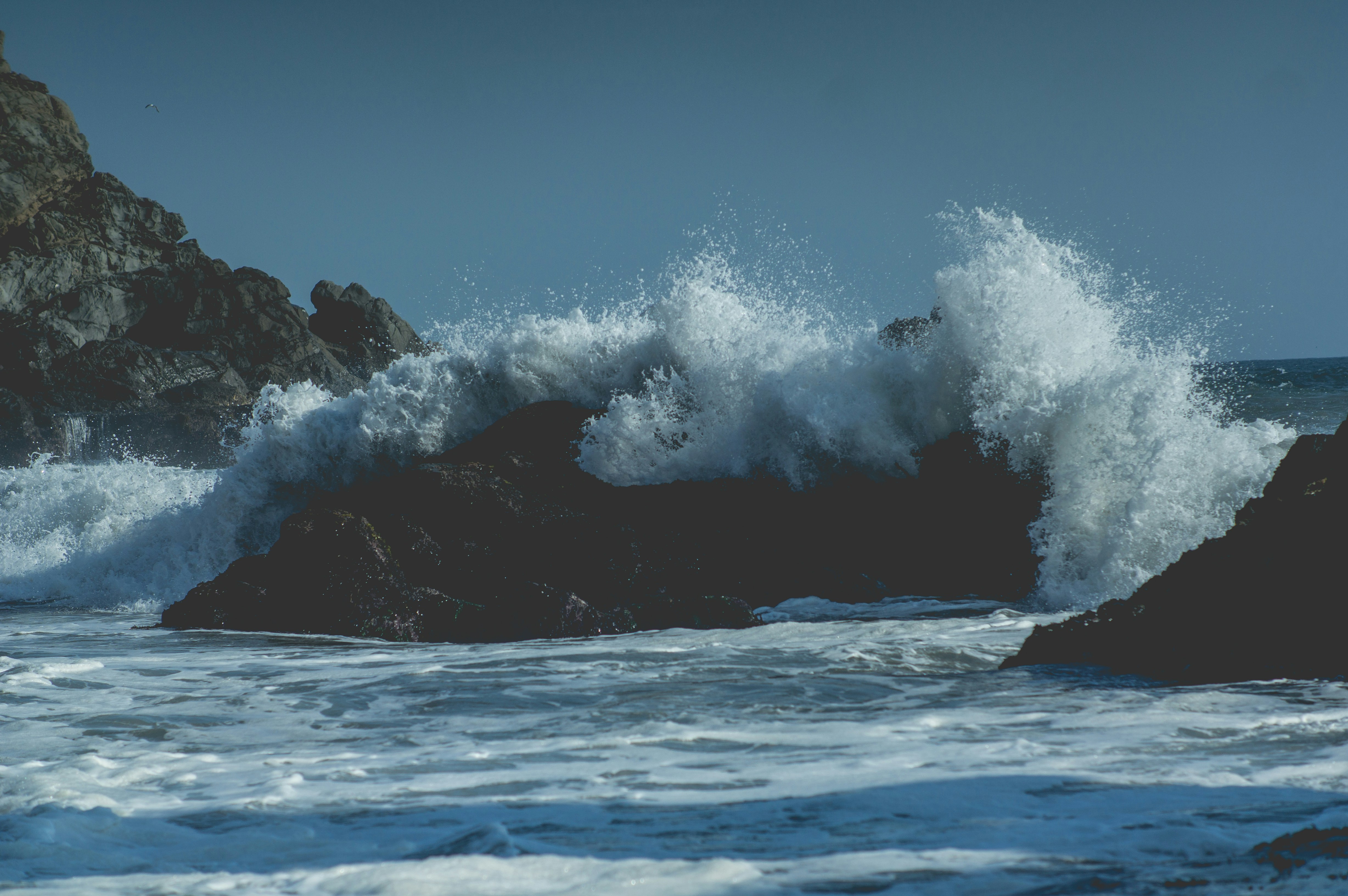 Free Unsplash photo from Dominik Lange