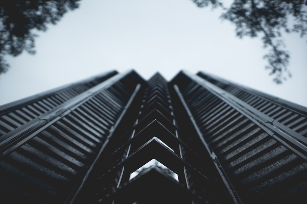 low angle photography of high-rise building