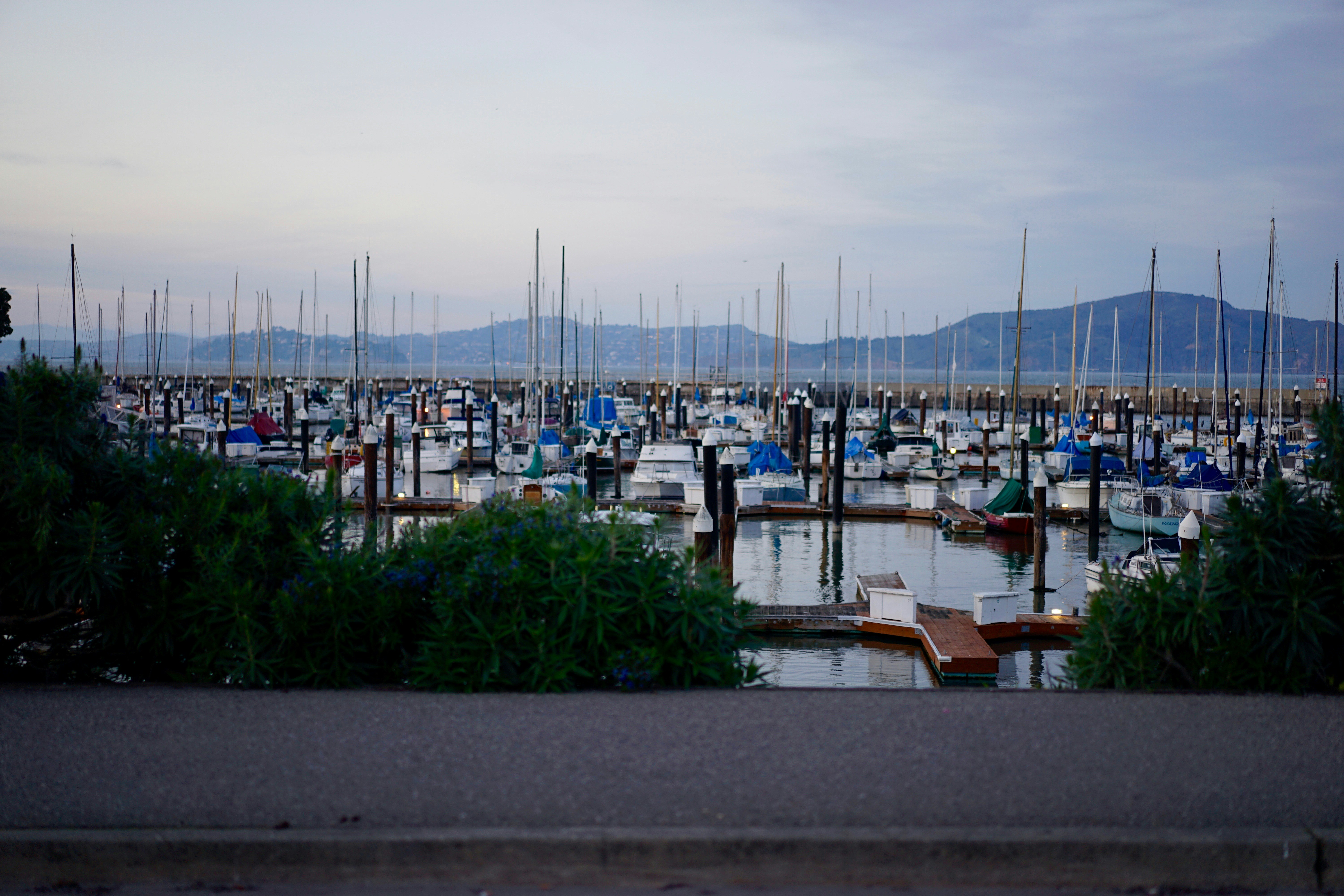 Free Unsplash photo from William Felker