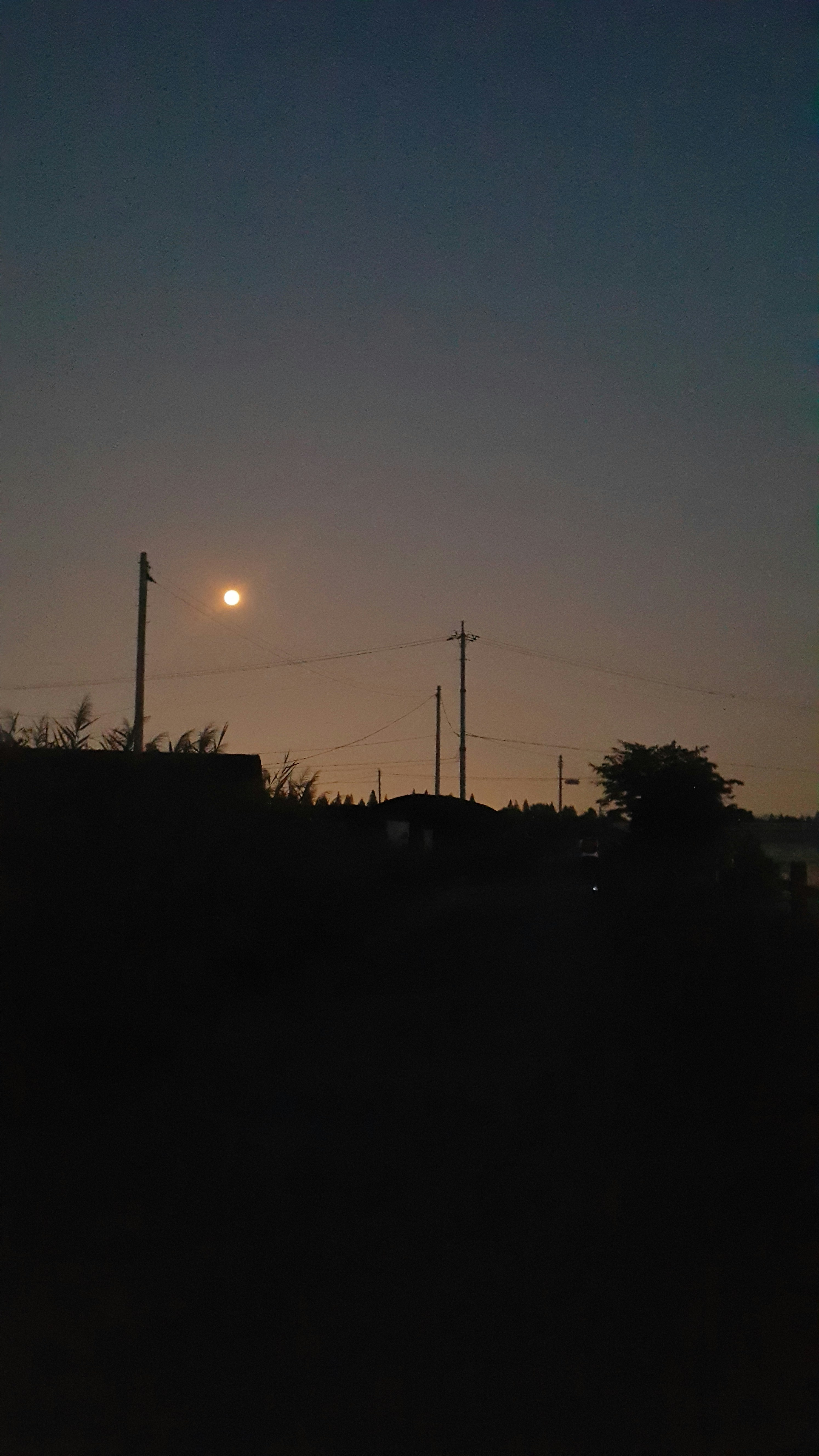 Free Unsplash photo from 성모 조