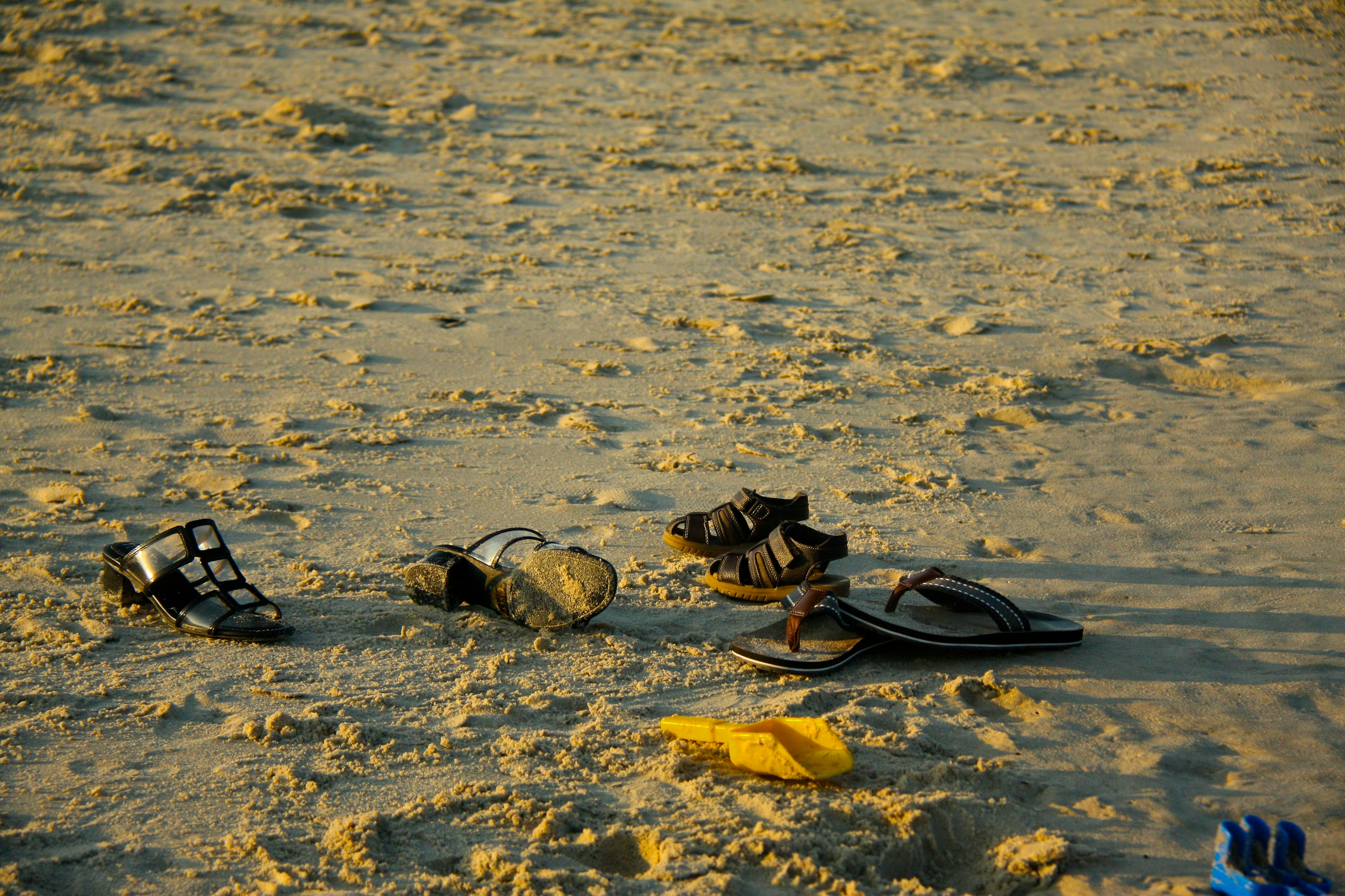 Free Unsplash photo from Ada Gonzalez