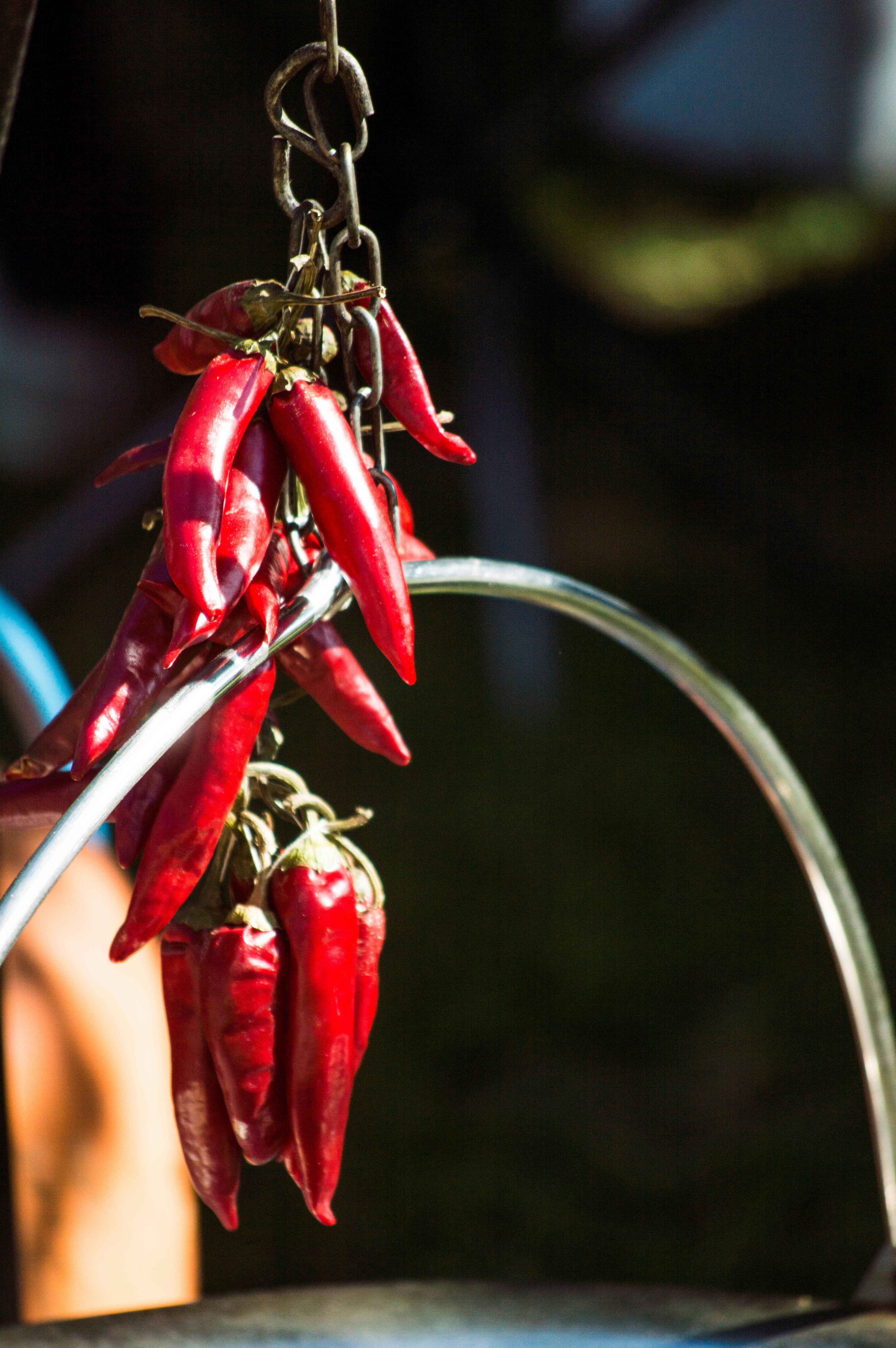 Photo By Kristina Balić