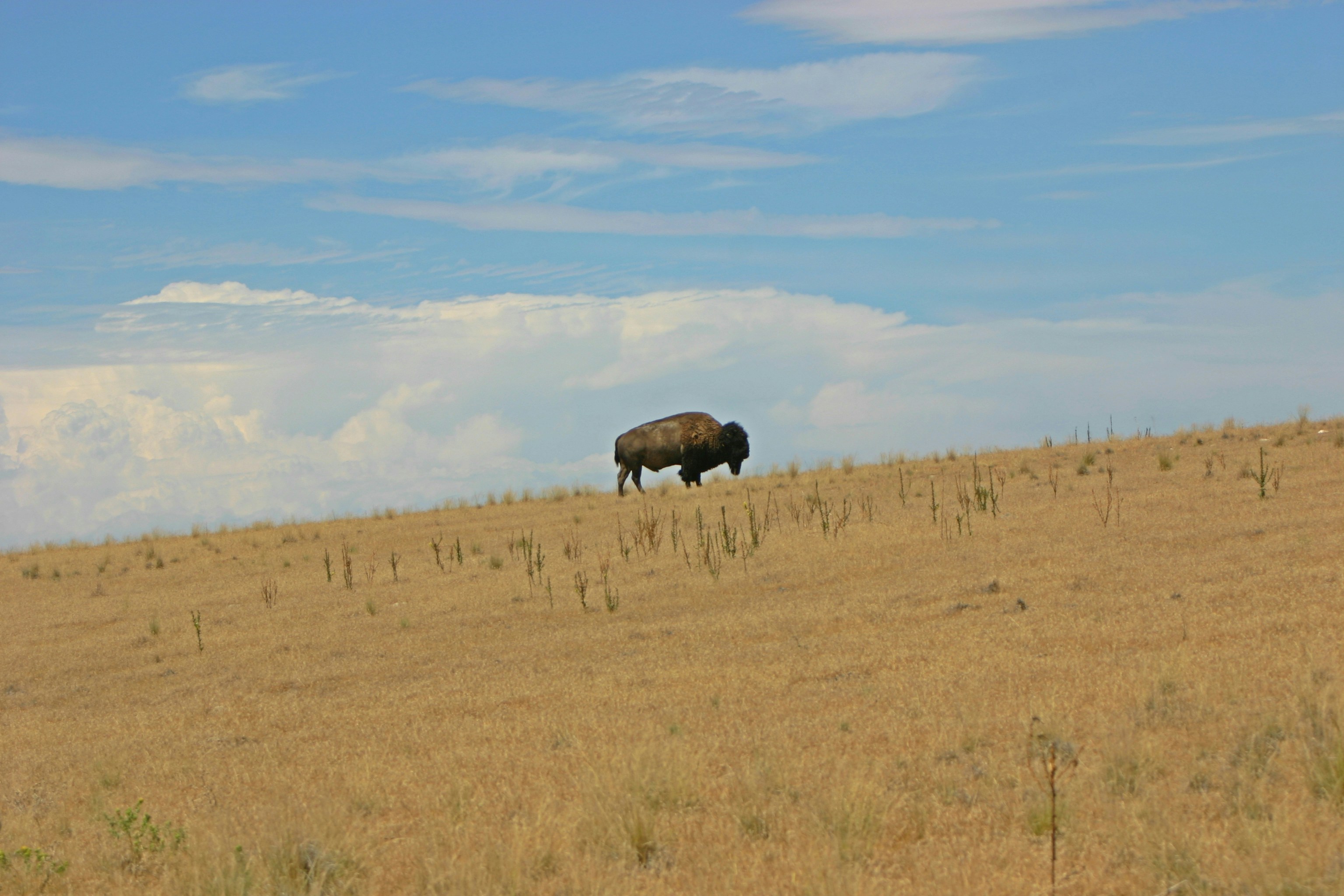 Free Unsplash photo from Anja Schindler