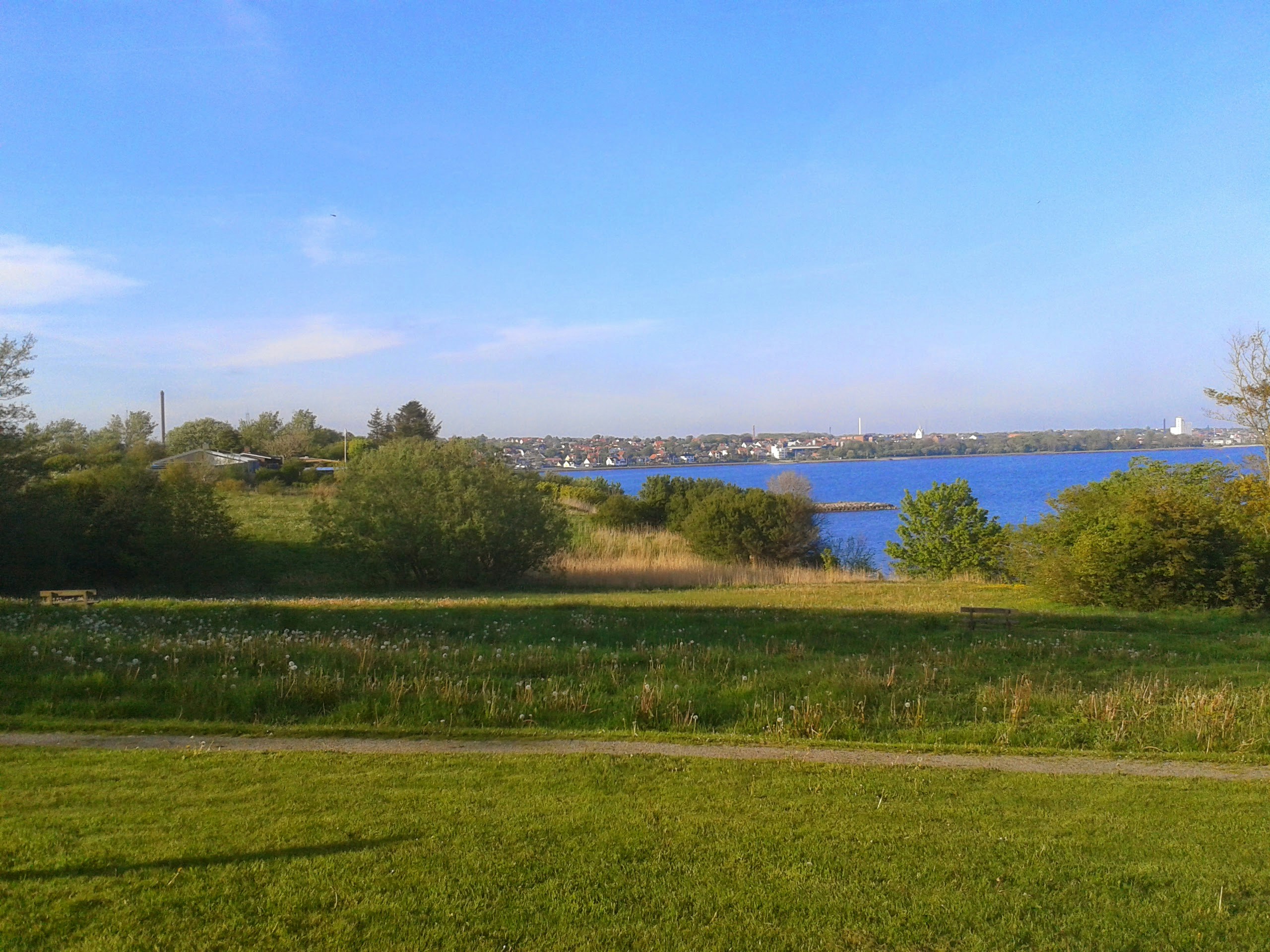 Free Unsplash photo from Jesper Handskemager