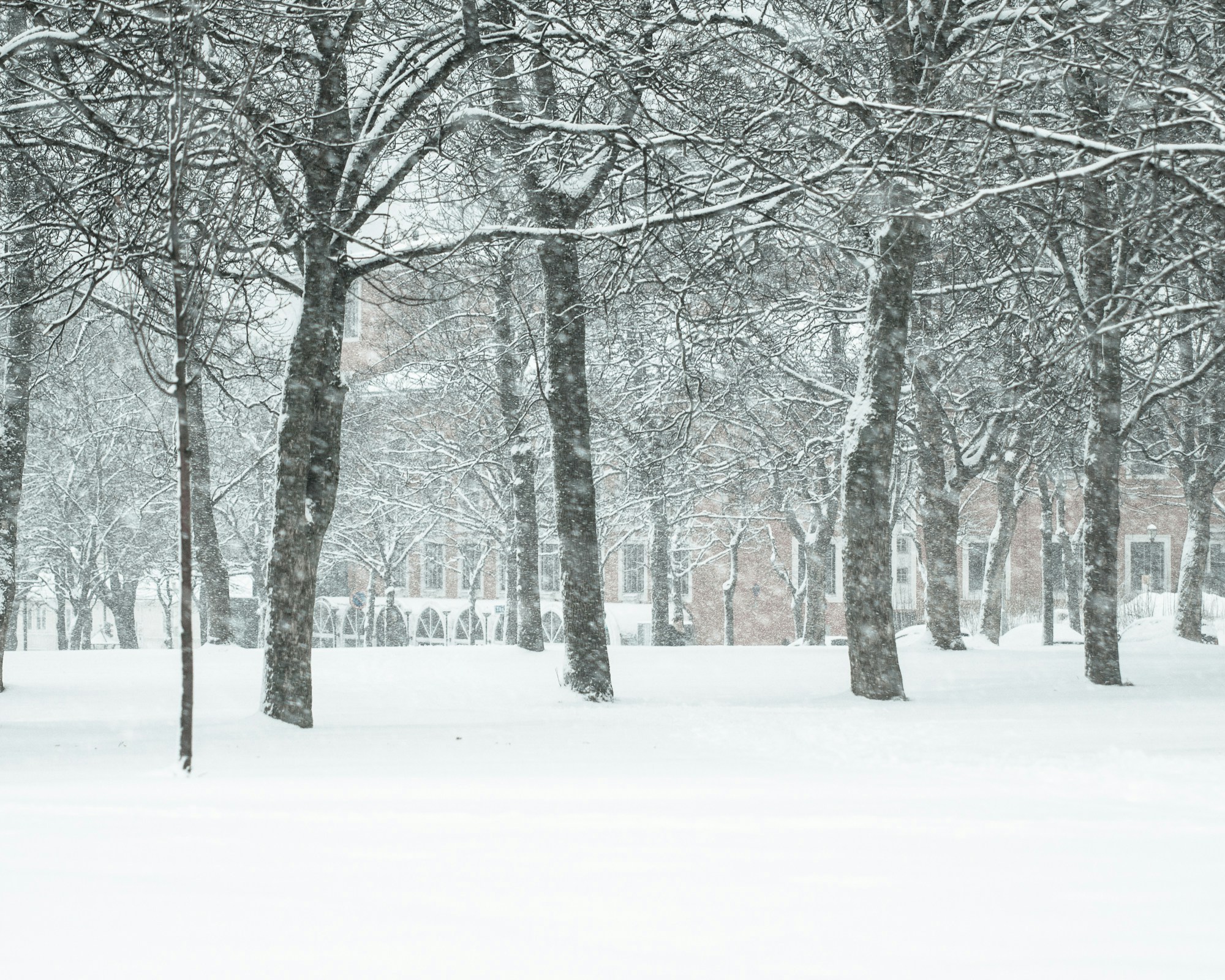 Free Unsplash photo from Rolf Erik Lekang