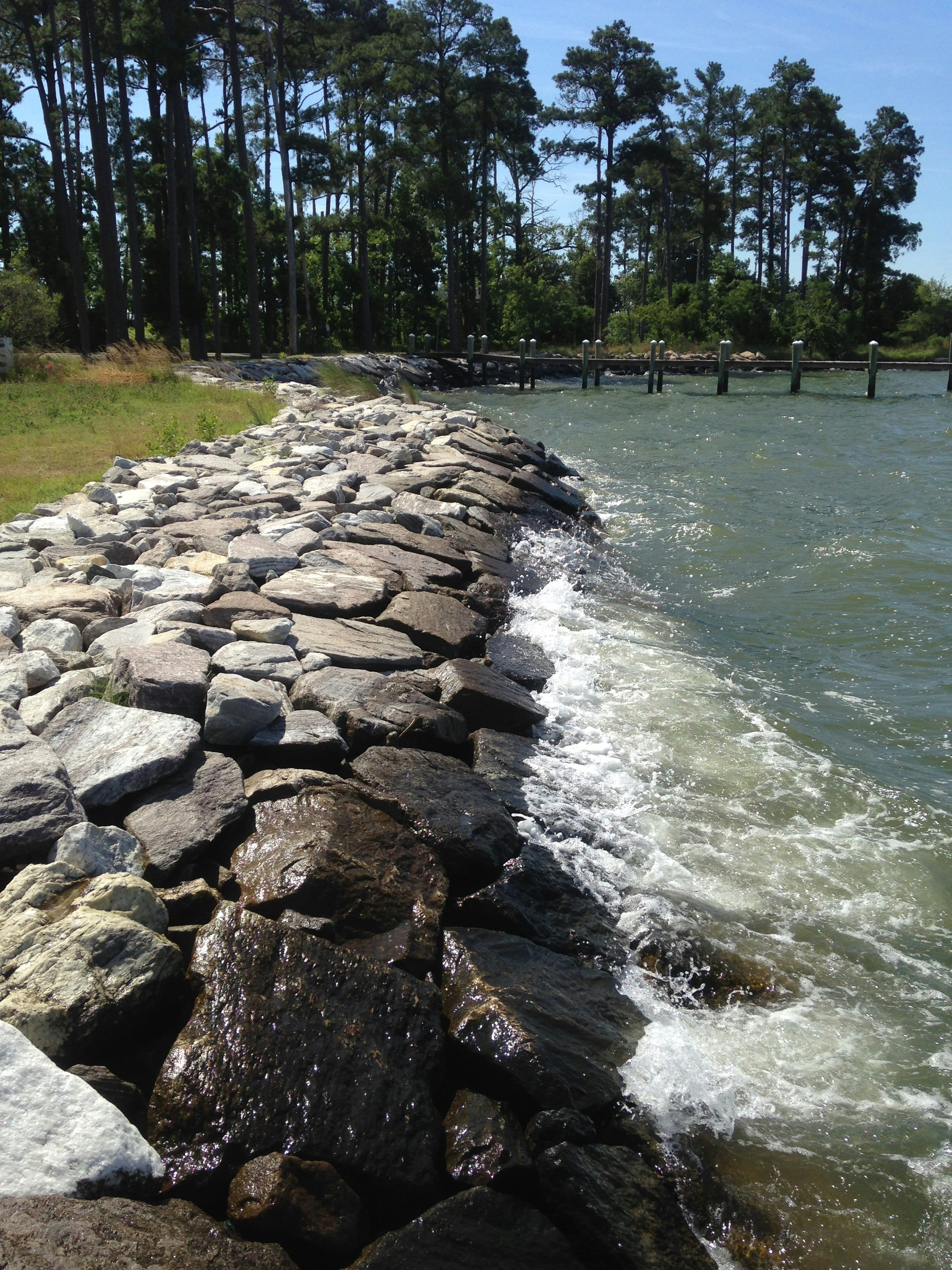 Free Unsplash photo from Angela Abcede-Comsti