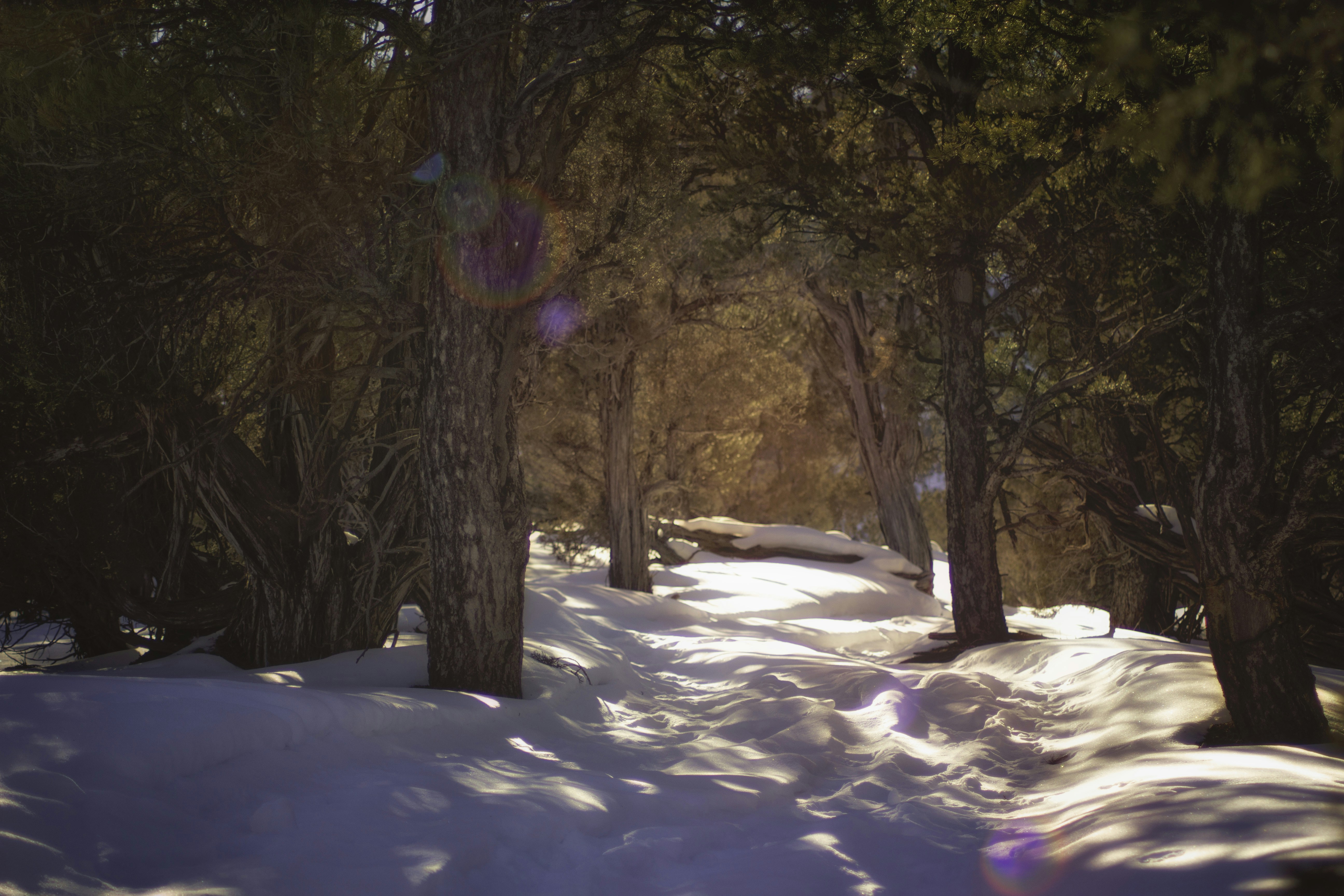 Free Unsplash photo from Stephanie Lucero