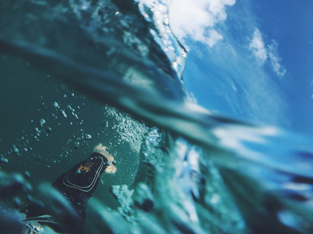 Fotografía subacuática de buceadores buceando en el cuerpo de agua durante el día