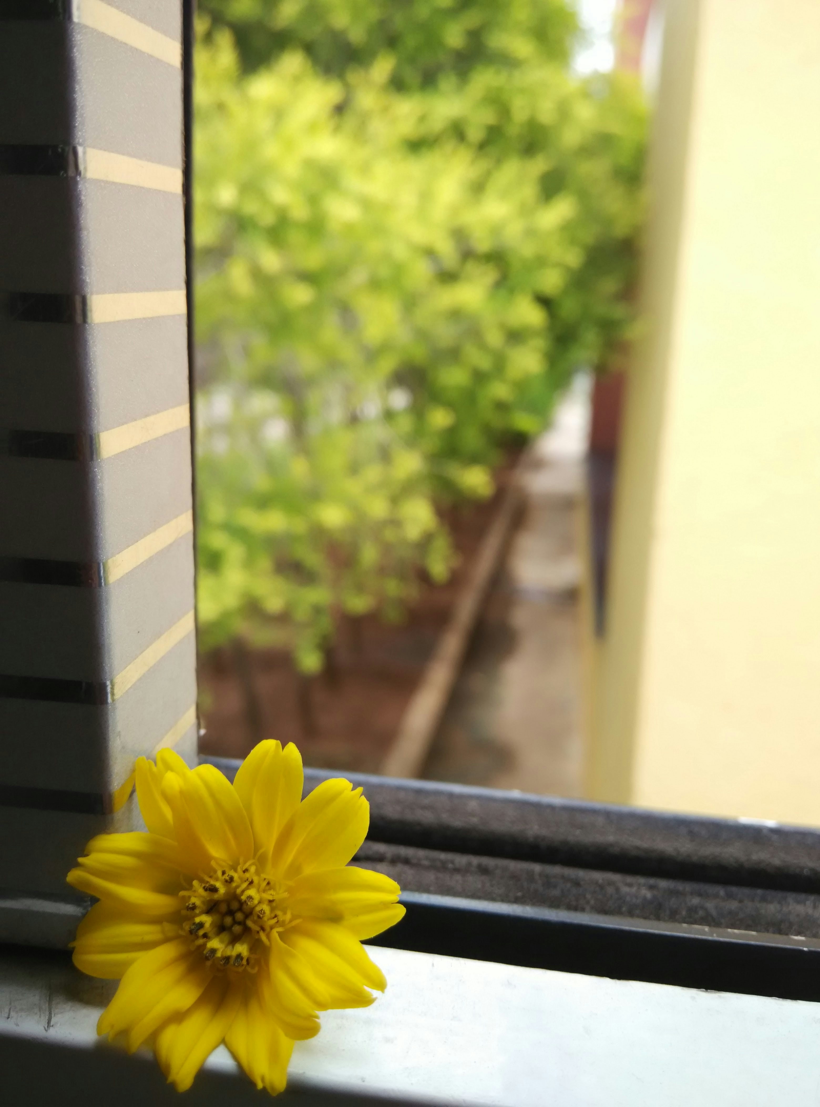 Free Unsplash photo from Raghav Poojari