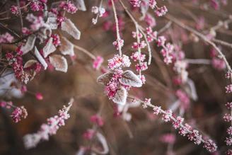 box cocooning d hiver