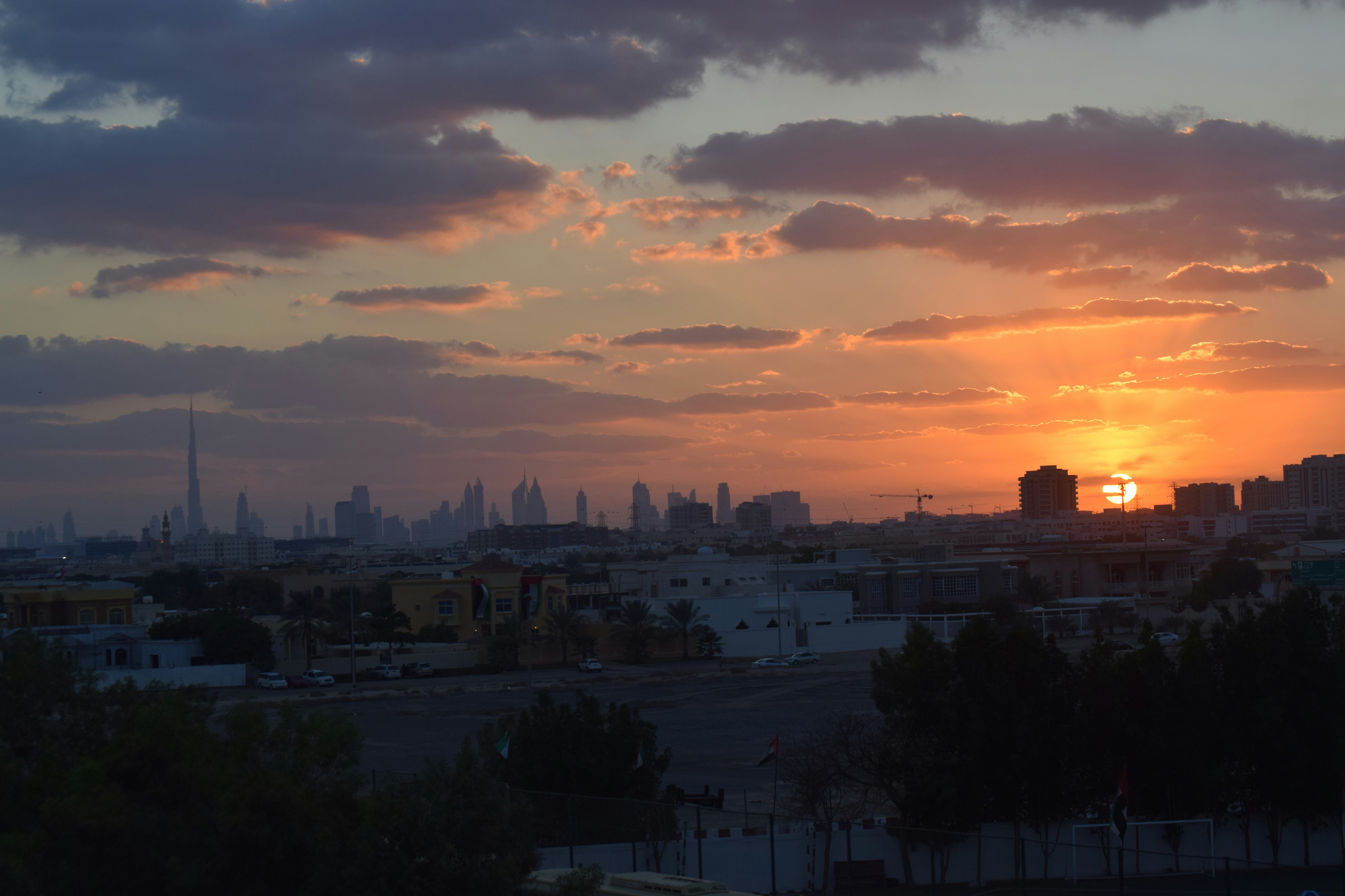 Free Unsplash photo from Eugine  Thankachan