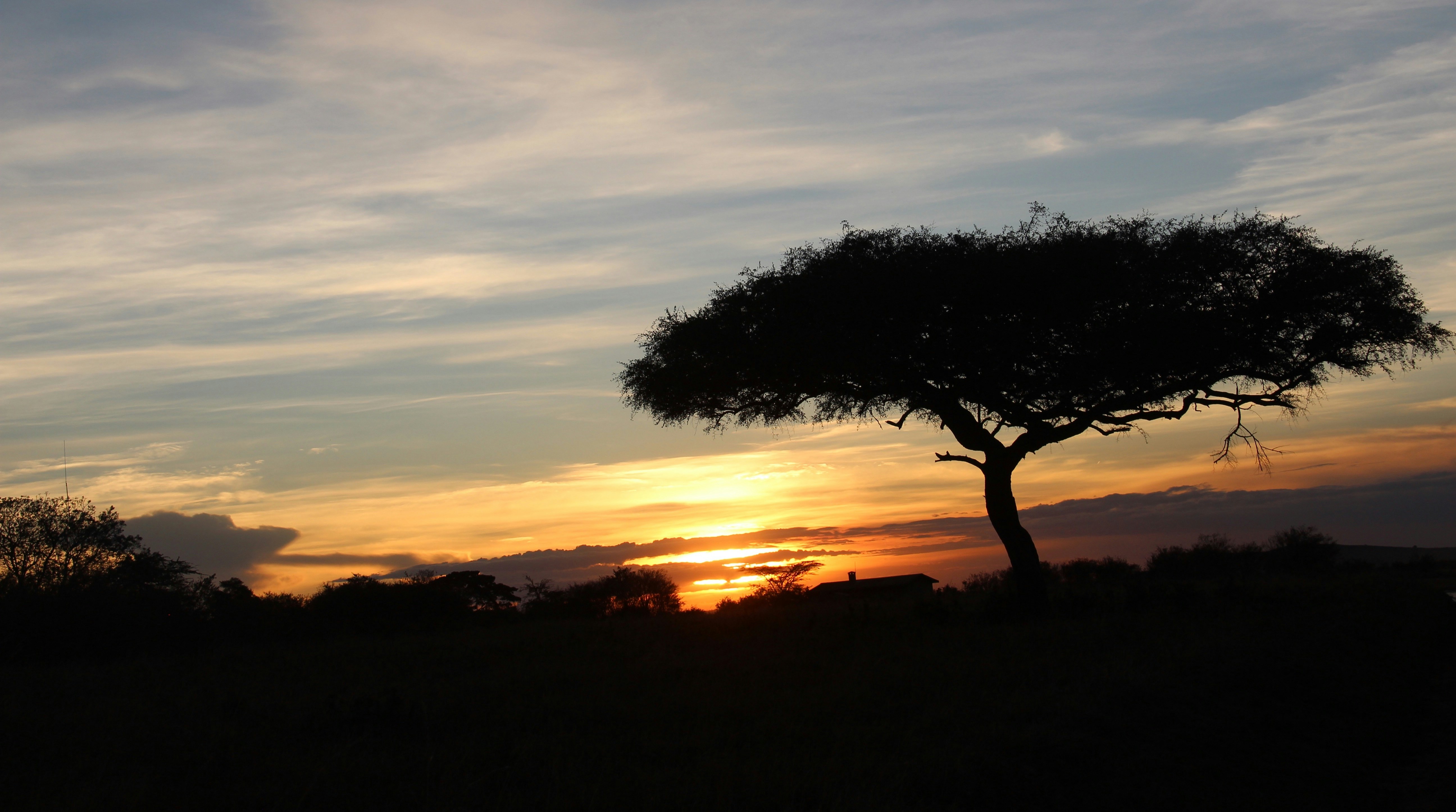 Free Unsplash photo from Sanjay Guruprasad