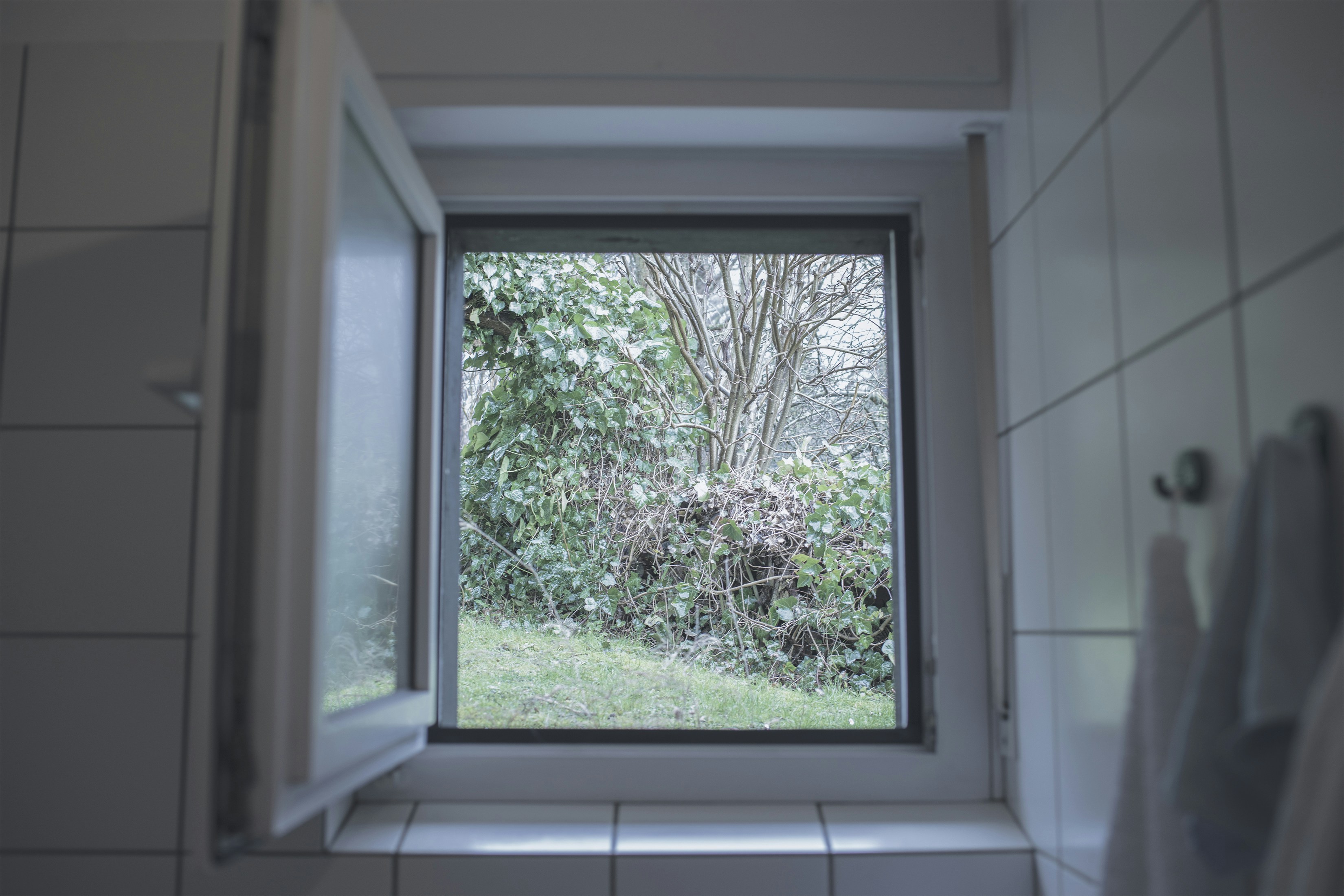 Free Unsplash photo from thomas shellberg