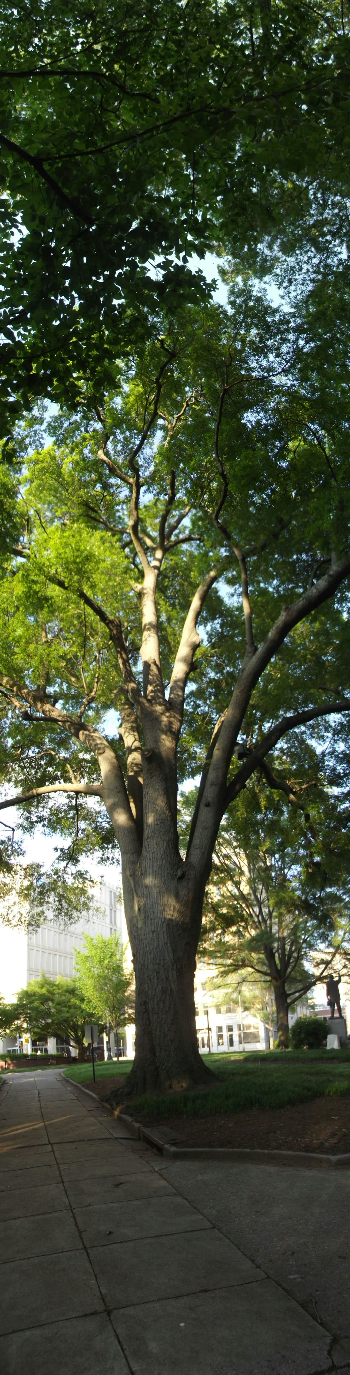 Free Unsplash photo from Christopher Lotito