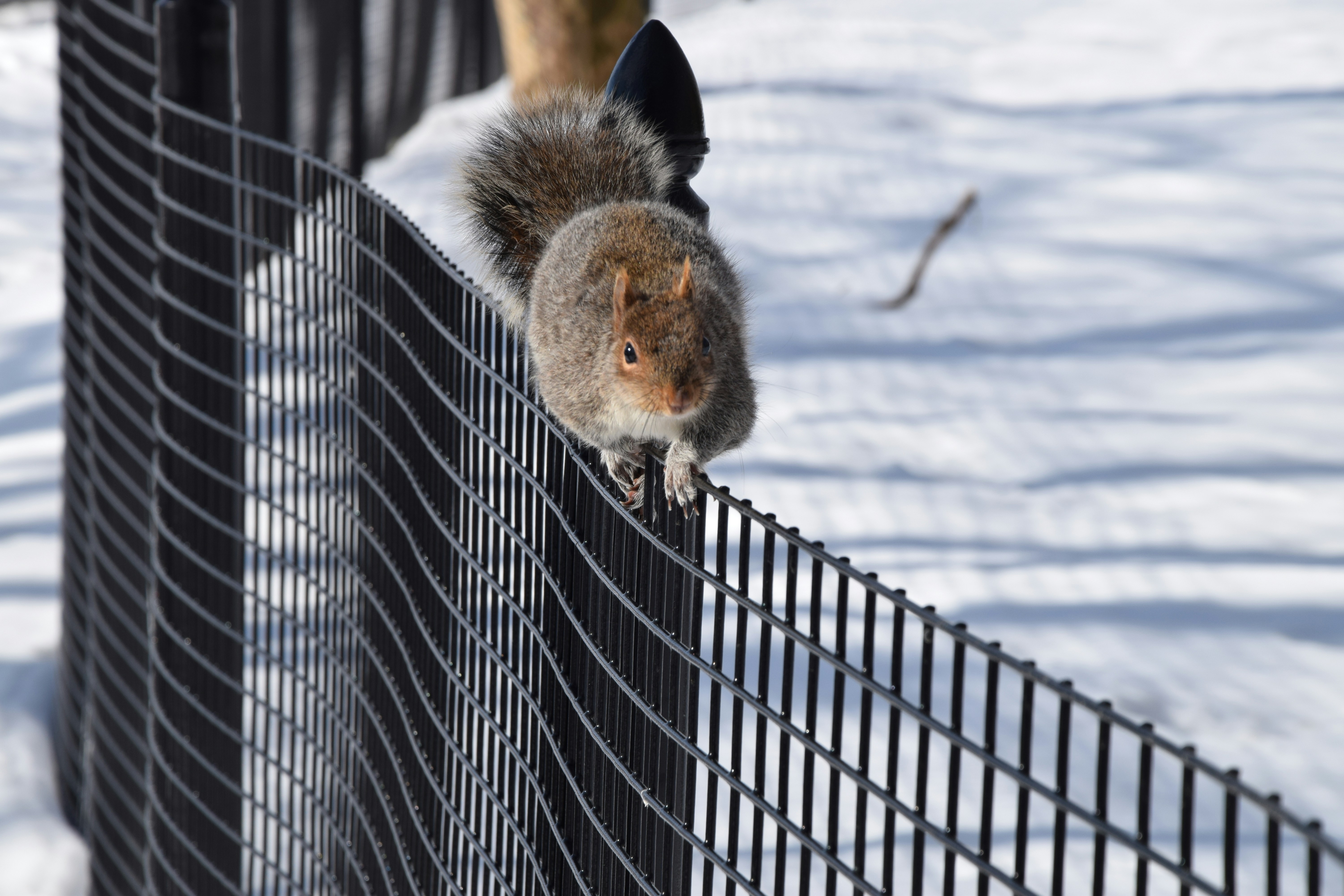 Free Unsplash photo from Sander de Vos