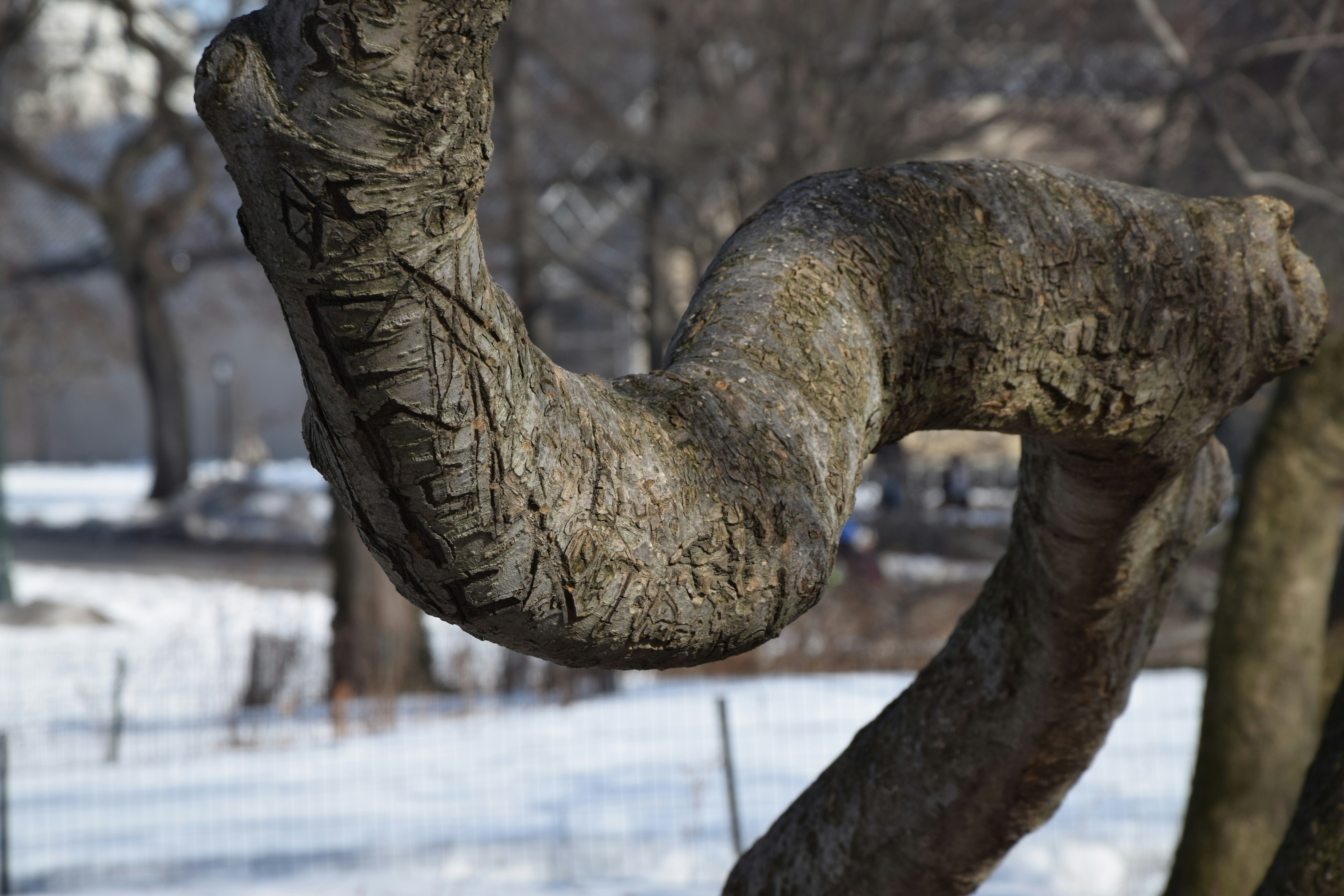 Free Unsplash photo from Sander de Vos