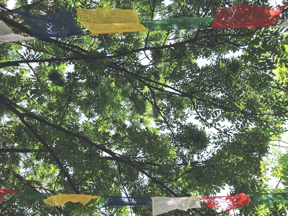 yellow and red buntings beside green leafed tree