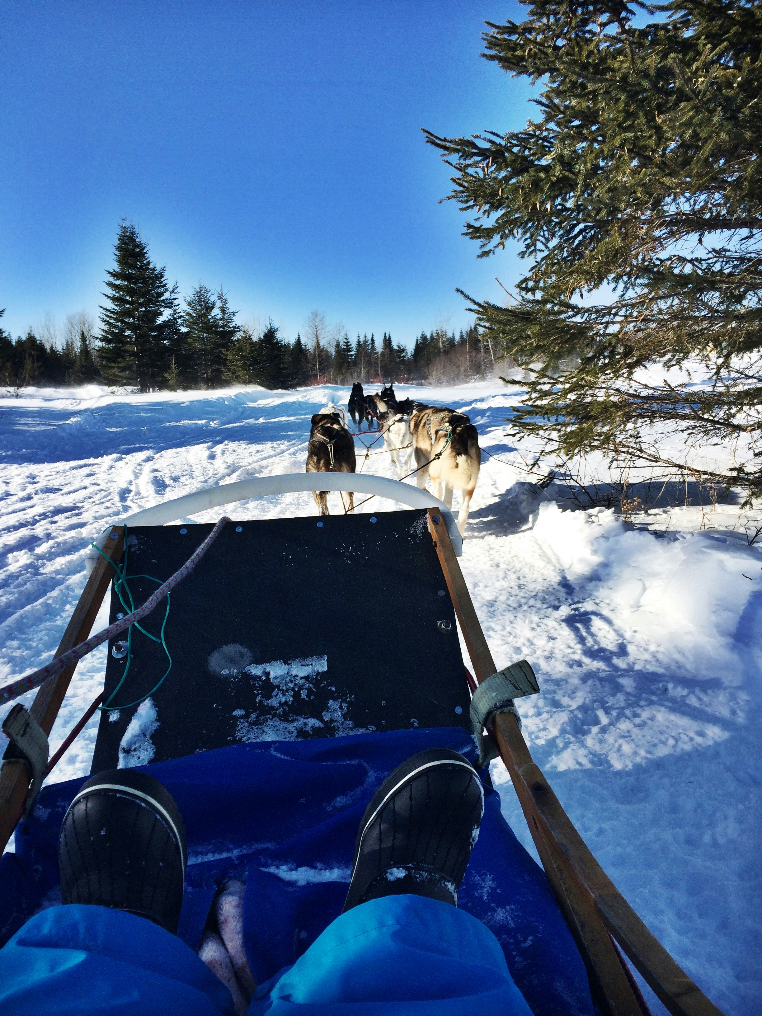 Free Unsplash photo from Tania Dugas