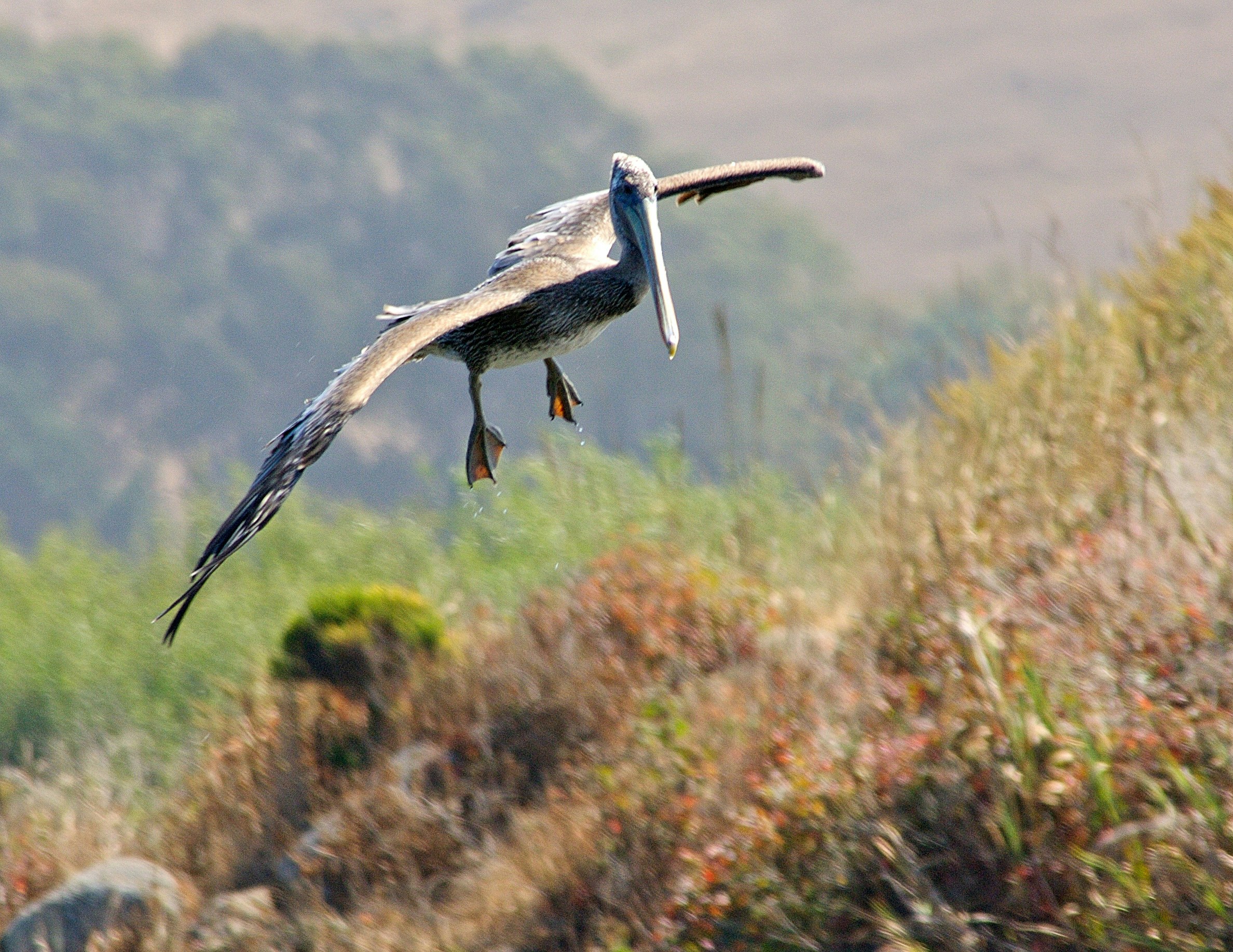 Free Unsplash photo from Holger Hubbs