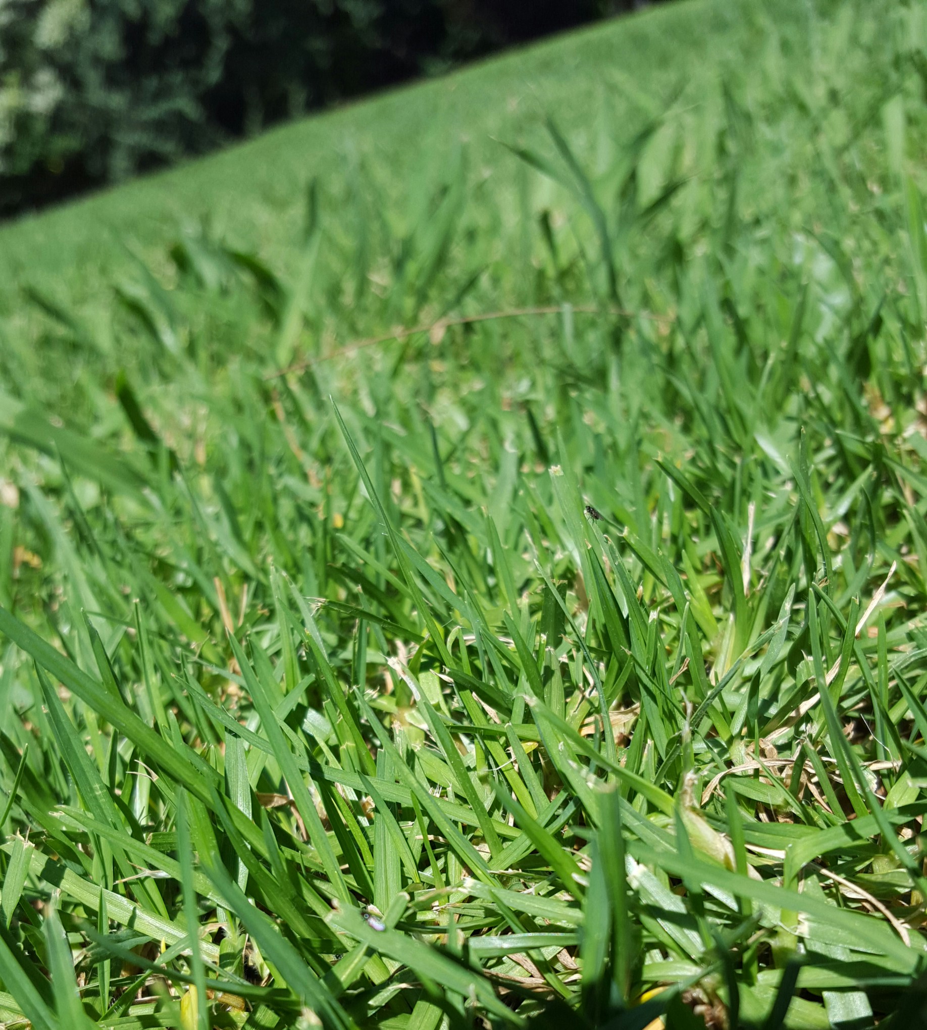 Free Unsplash photo from Luca Pugliese