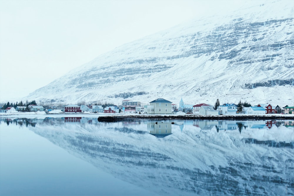 houses near body of water