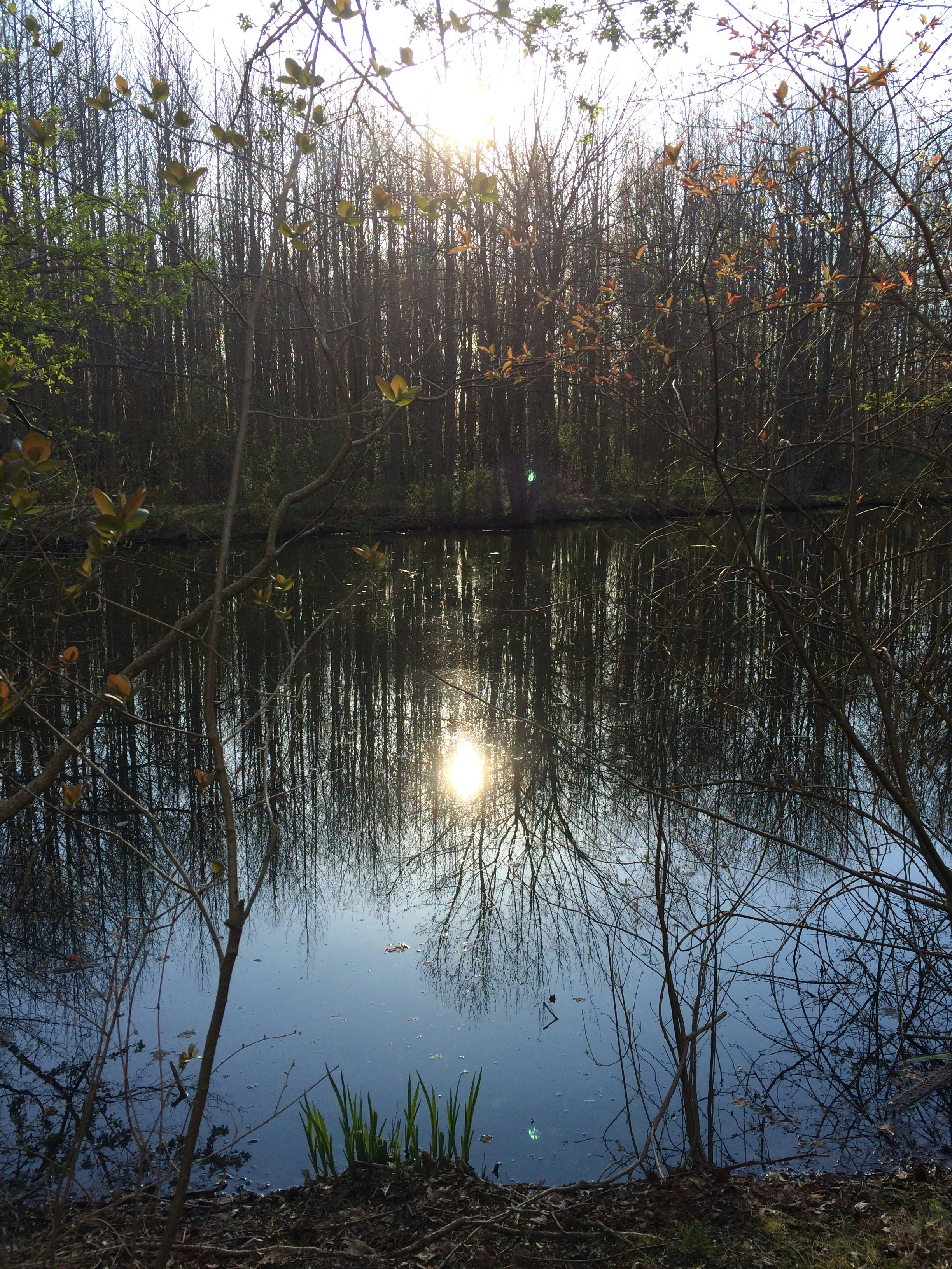 Free Unsplash photo from margot  white