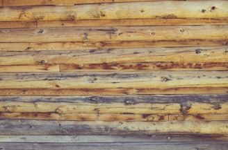 a close up of a wooden wall made of logs