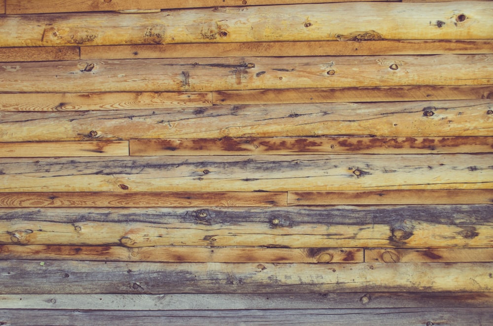 eine Nahaufnahme einer Holzwand aus Baumstämmen