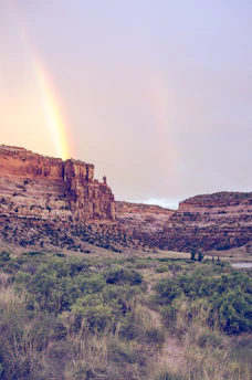 Scenic landscape from one of Dalila's travels, showing vibrant colors and light.