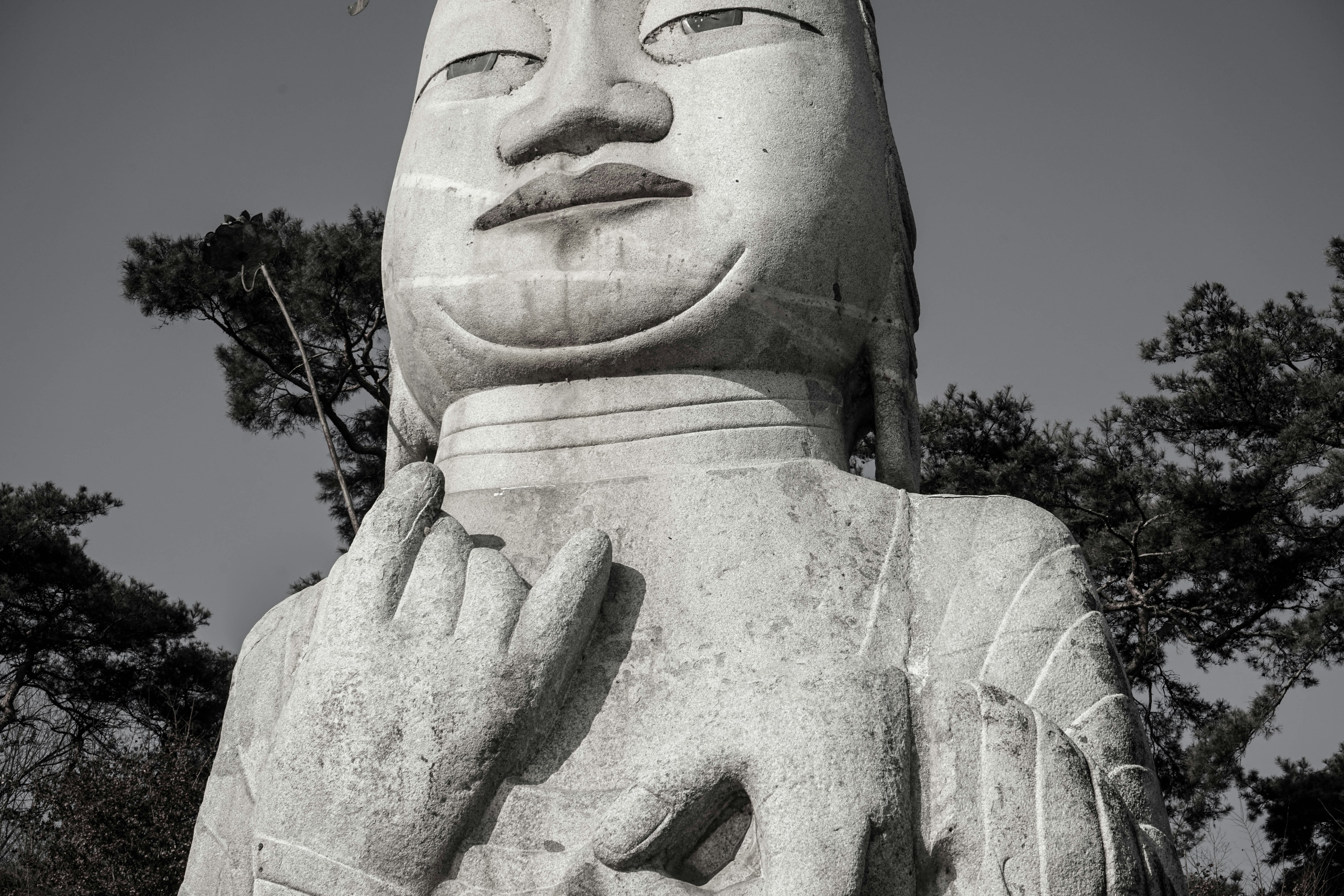 Free Unsplash photo from redso Kim