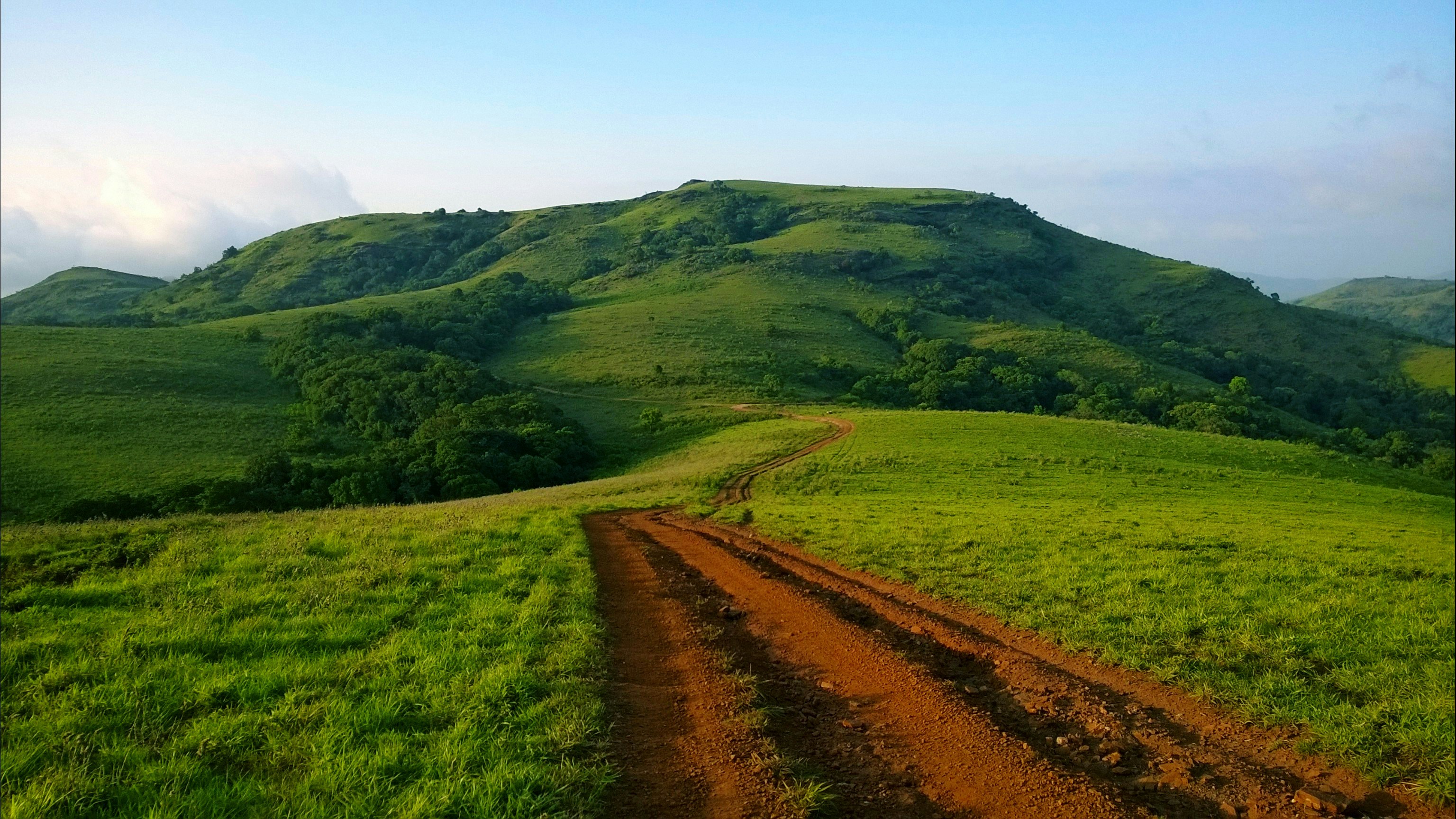 Free Unsplash photo from Shreyas Shetty