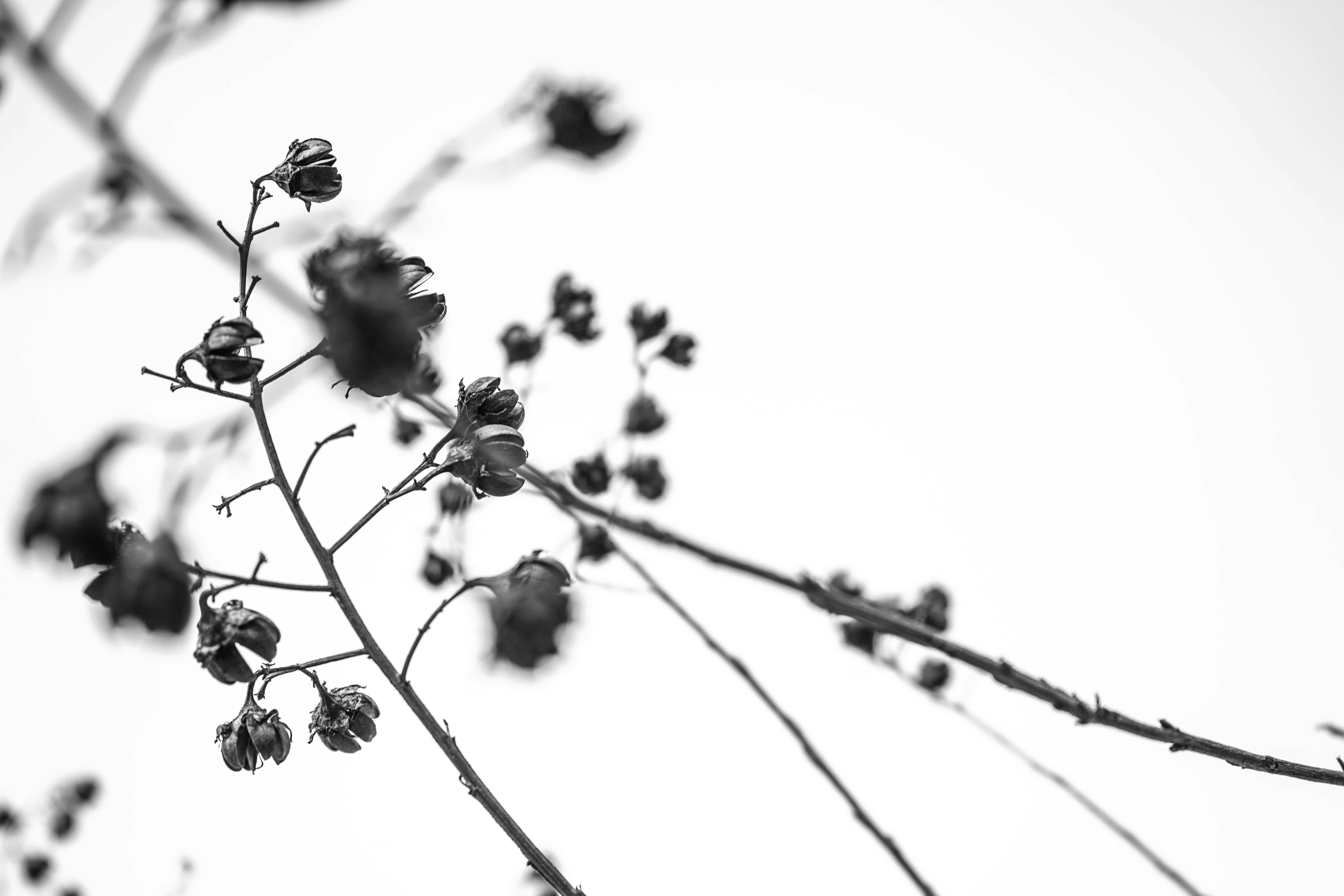 Free Unsplash photo from redso Kim