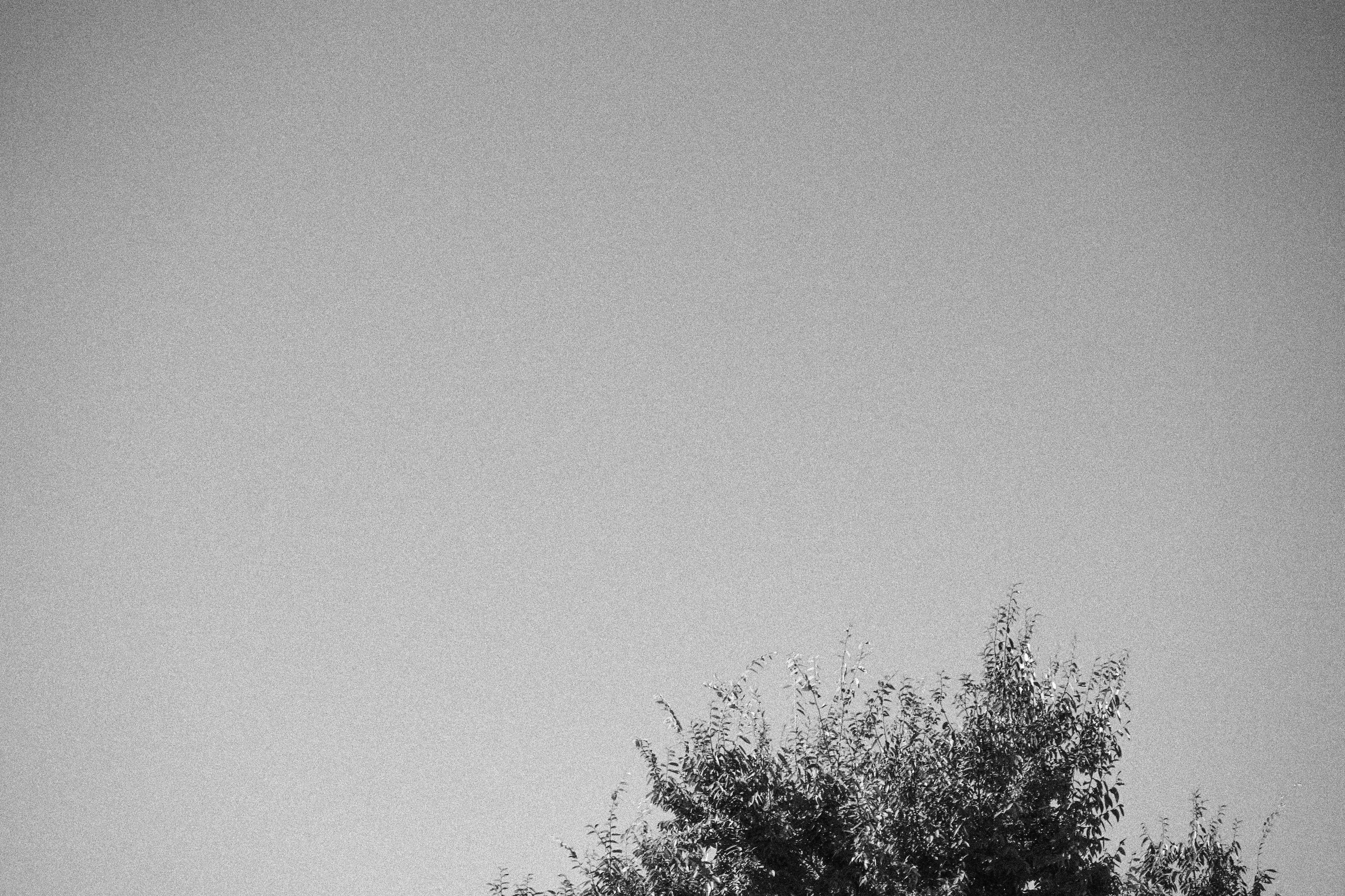 Free Unsplash photo from redso Kim