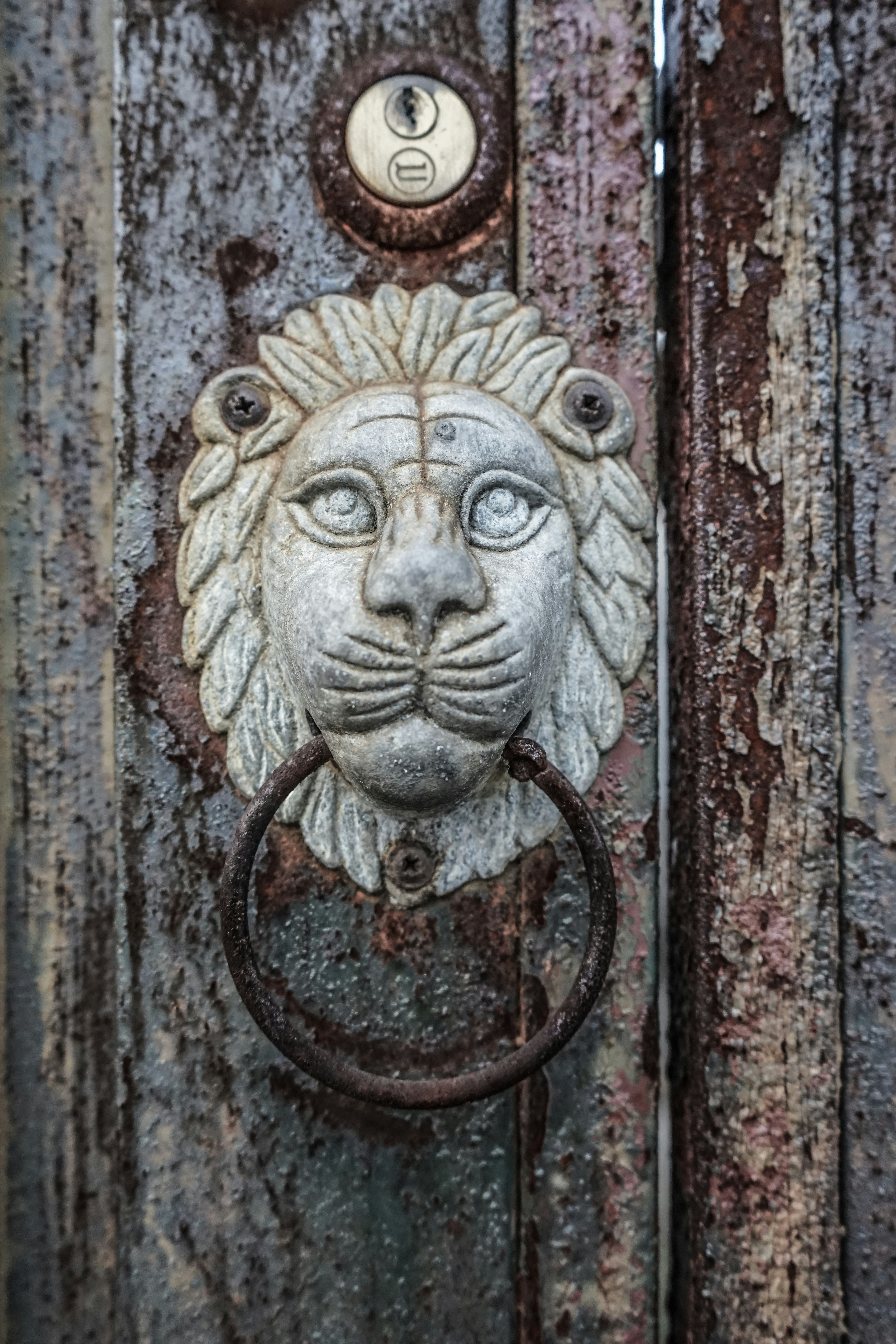 Free Unsplash photo from redso Kim