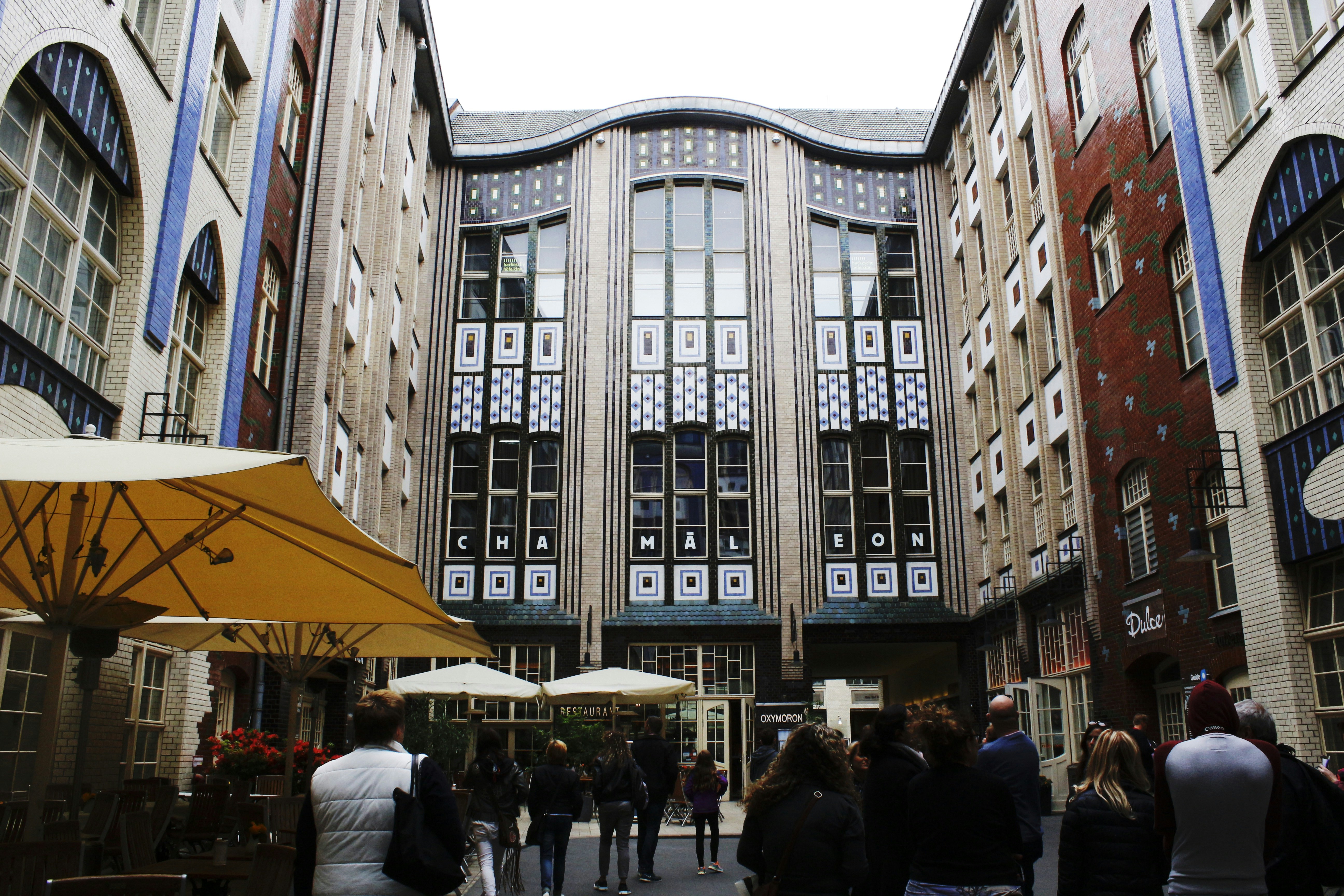 Free Unsplash photo from Camilla Bundgaard