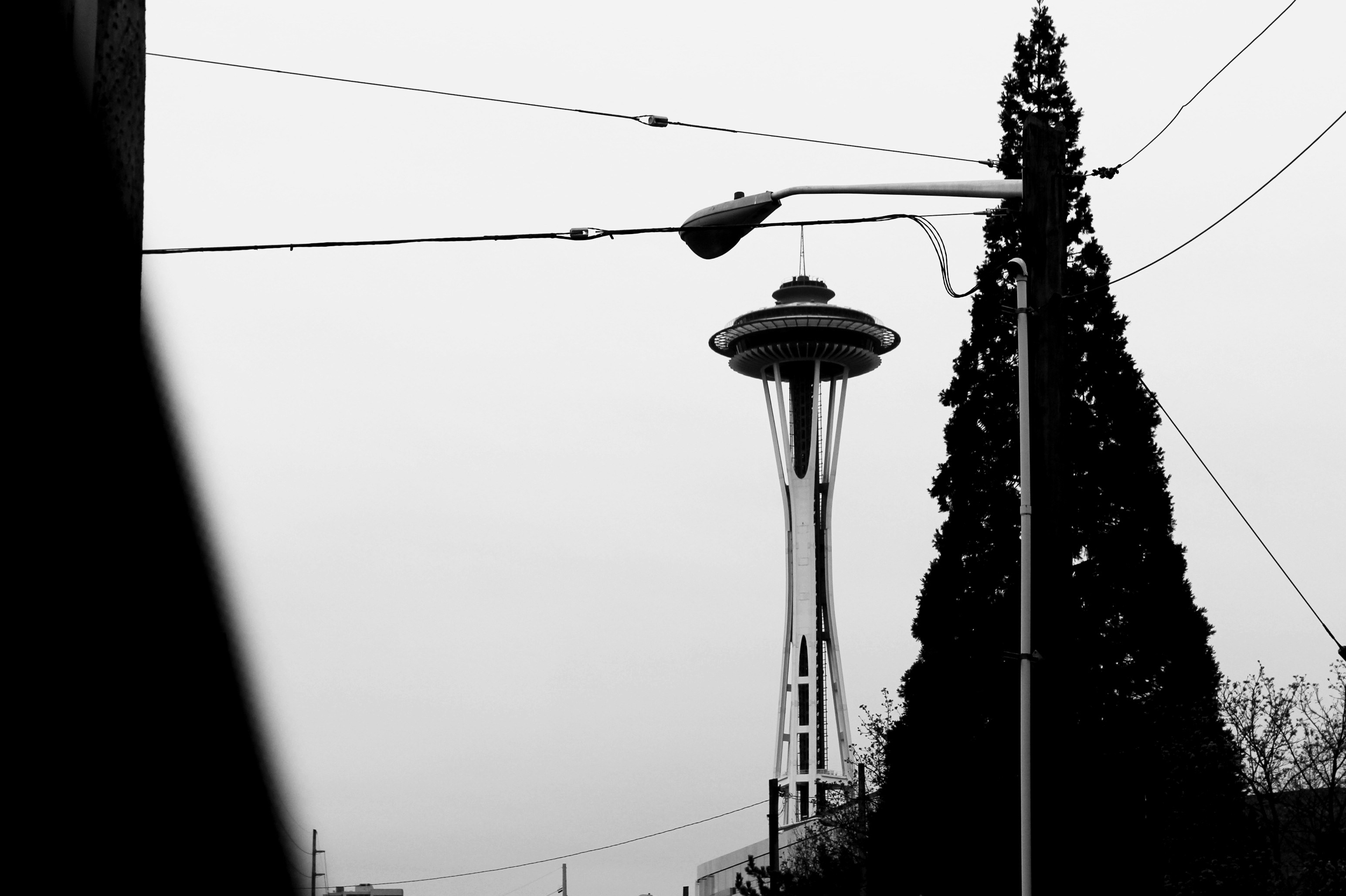 Free Unsplash photo from Camilla Bundgaard