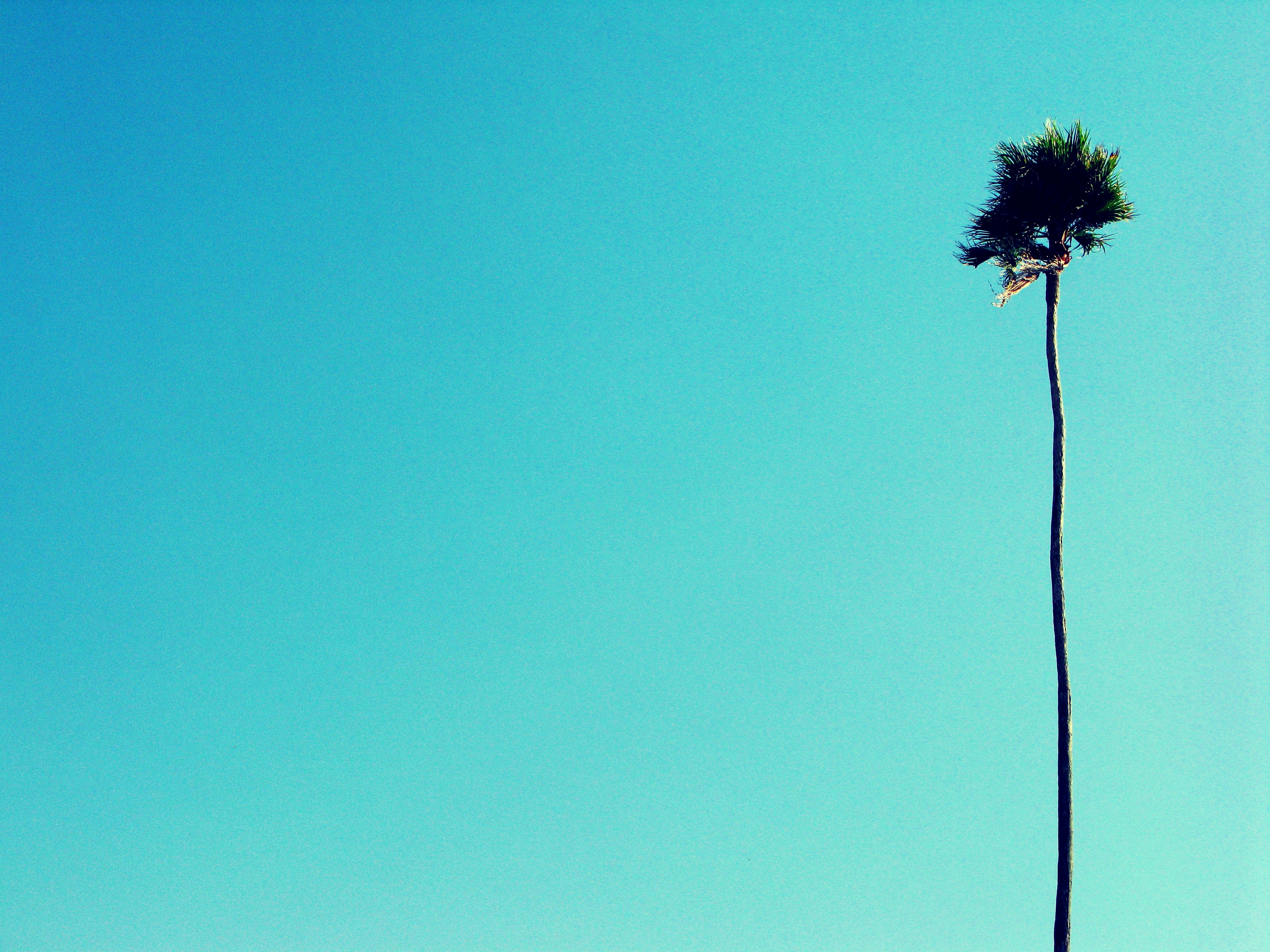 Free Unsplash photo from John Otalvaro