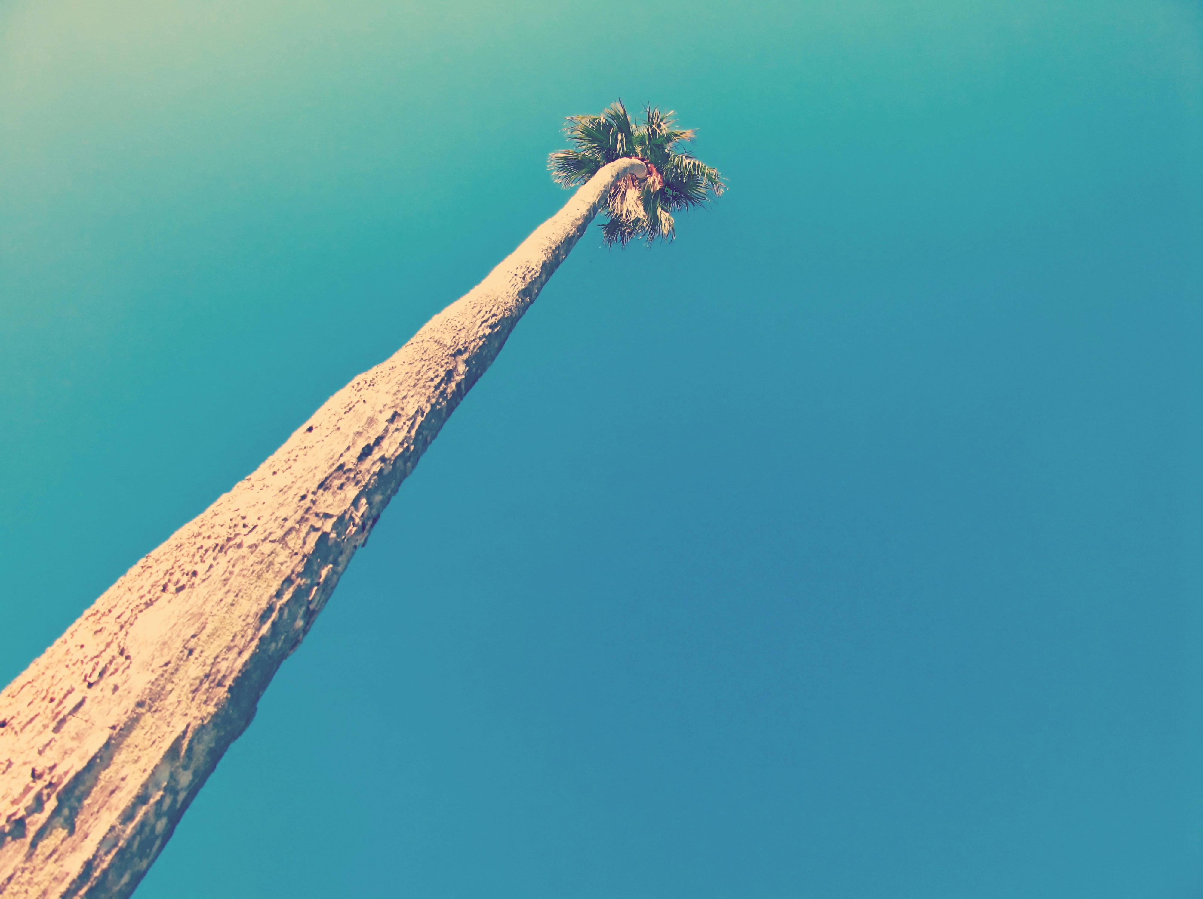 Free Unsplash photo from John Otalvaro