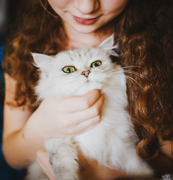 woman holding white cat