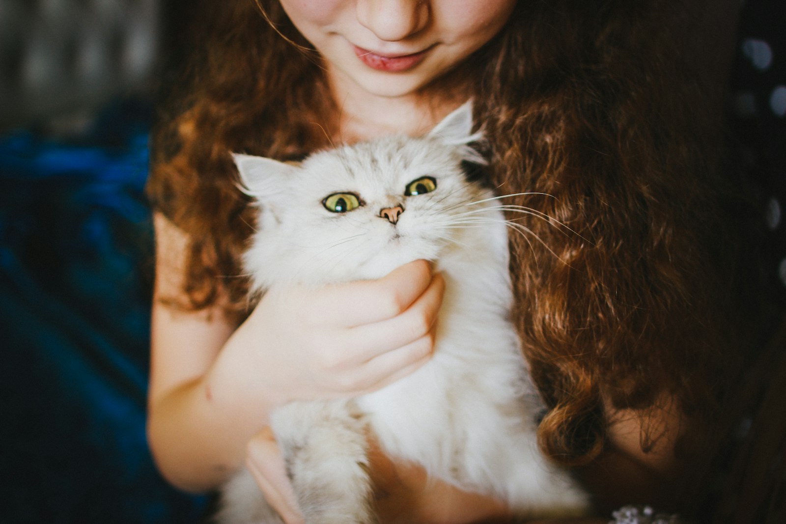 Canon EF 24mm F1.4L II USM sample photo. Woman holding white cat photography