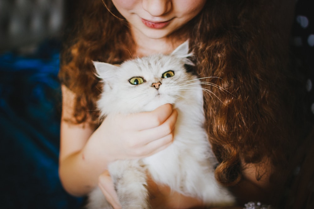 Mujer sosteniendo gato blanco