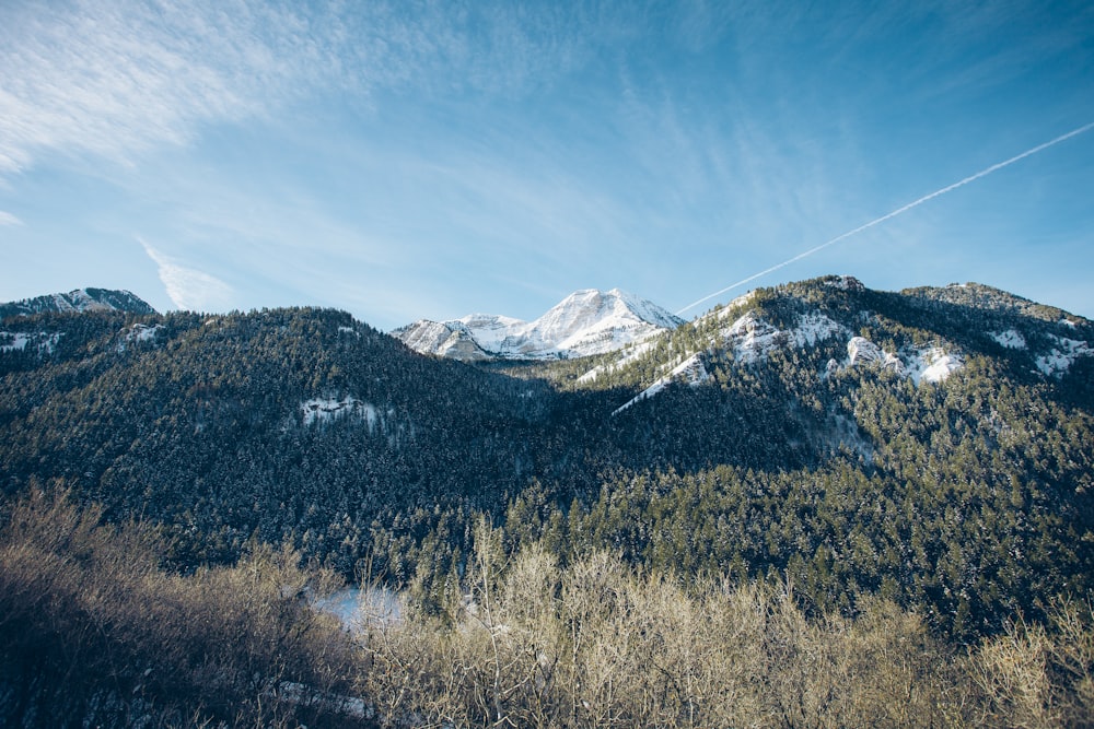 fotografia di paesaggio di montagna durante il dayttime
