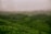A lush green landscape with rolling hills covered in dense vegetation, likely tea plantations. Mist hovers over the scene, creating a tranquil and mystical atmosphere. The landscape is interspersed with winding paths and thick clusters of trees.
