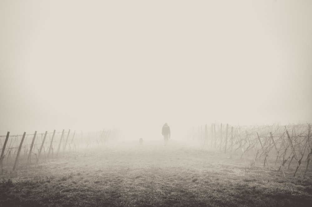 Silhouette einer Person zwischen Stacheldrahtzäunen während des Tages